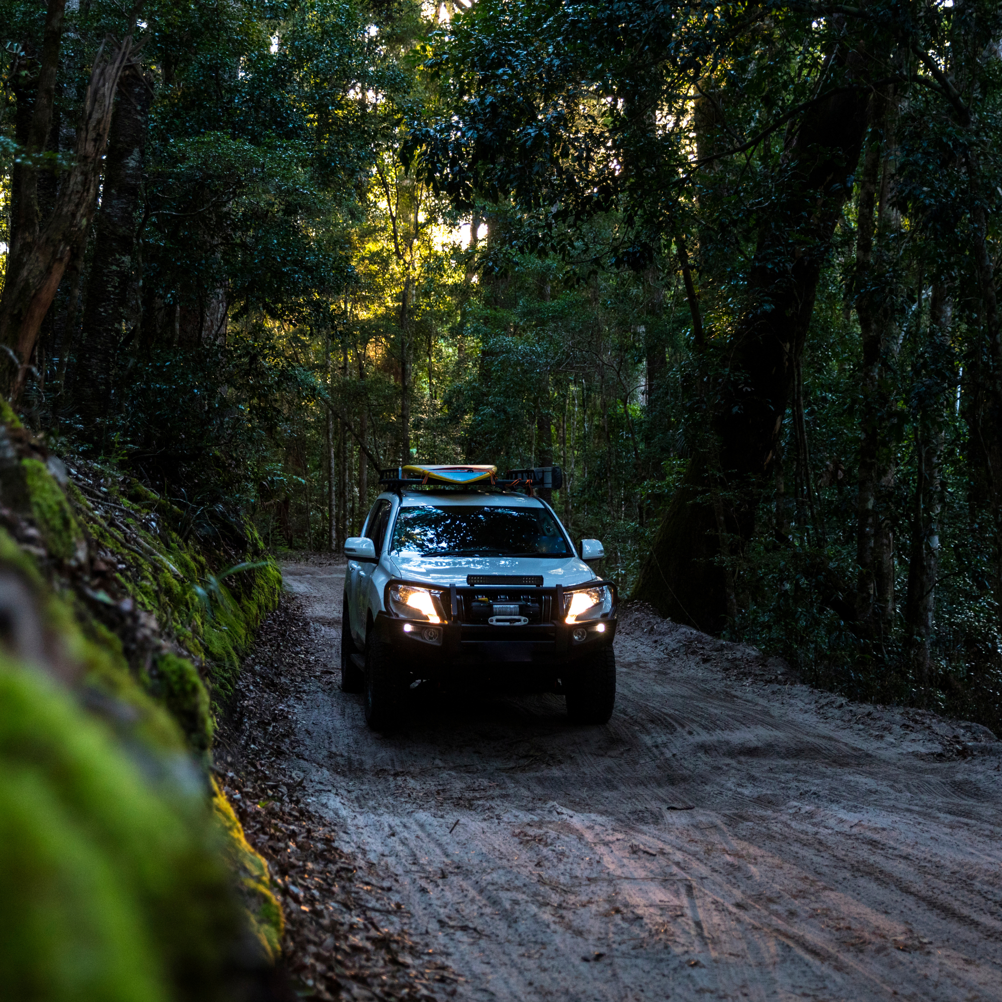 A white SUV with a roof rack carrying a surfboard and other gear is driving on a muddy, narrow forest trail surrounded by tall trees and dense greenery, with sunlight filtering through the leaves.