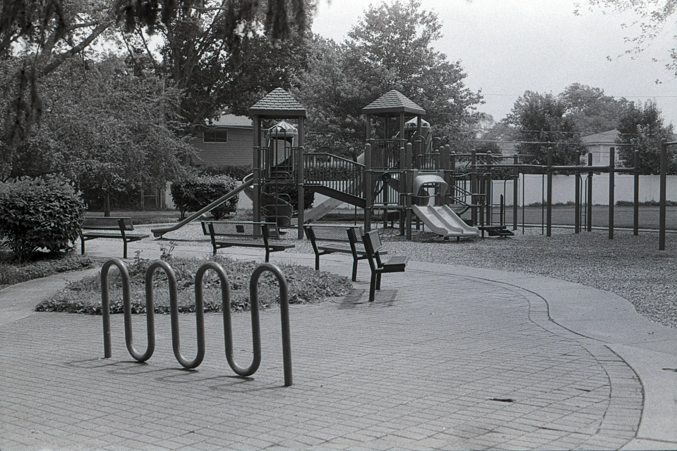 Film_scsn_26.jpg