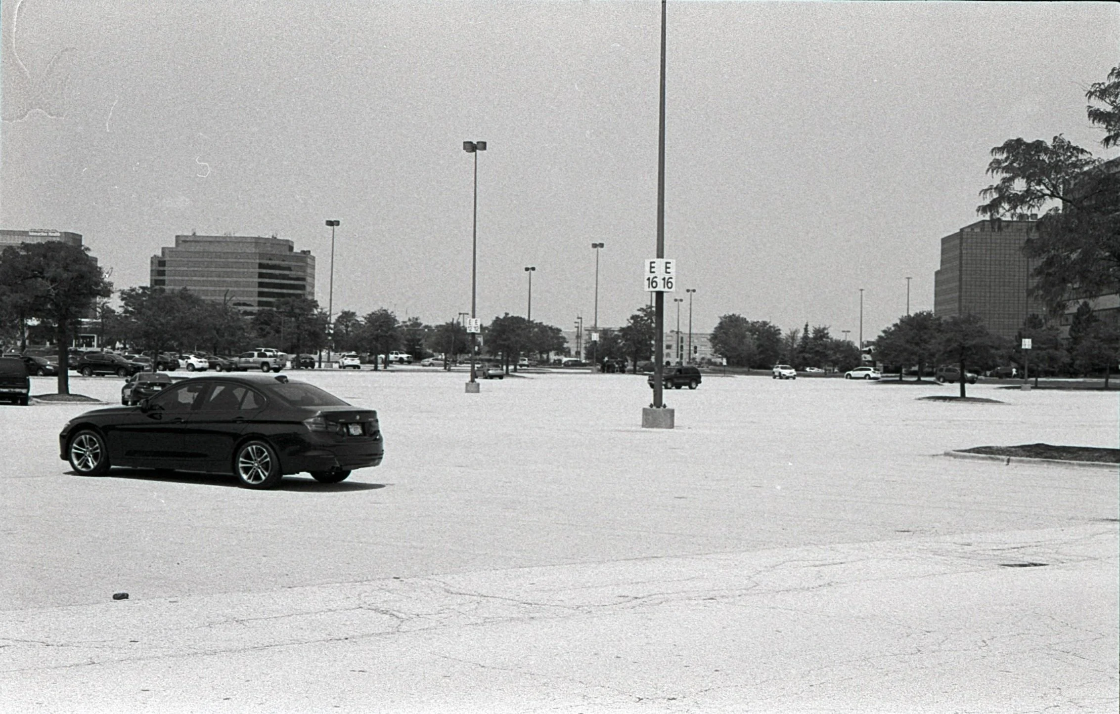 Film_scsn_08.jpg