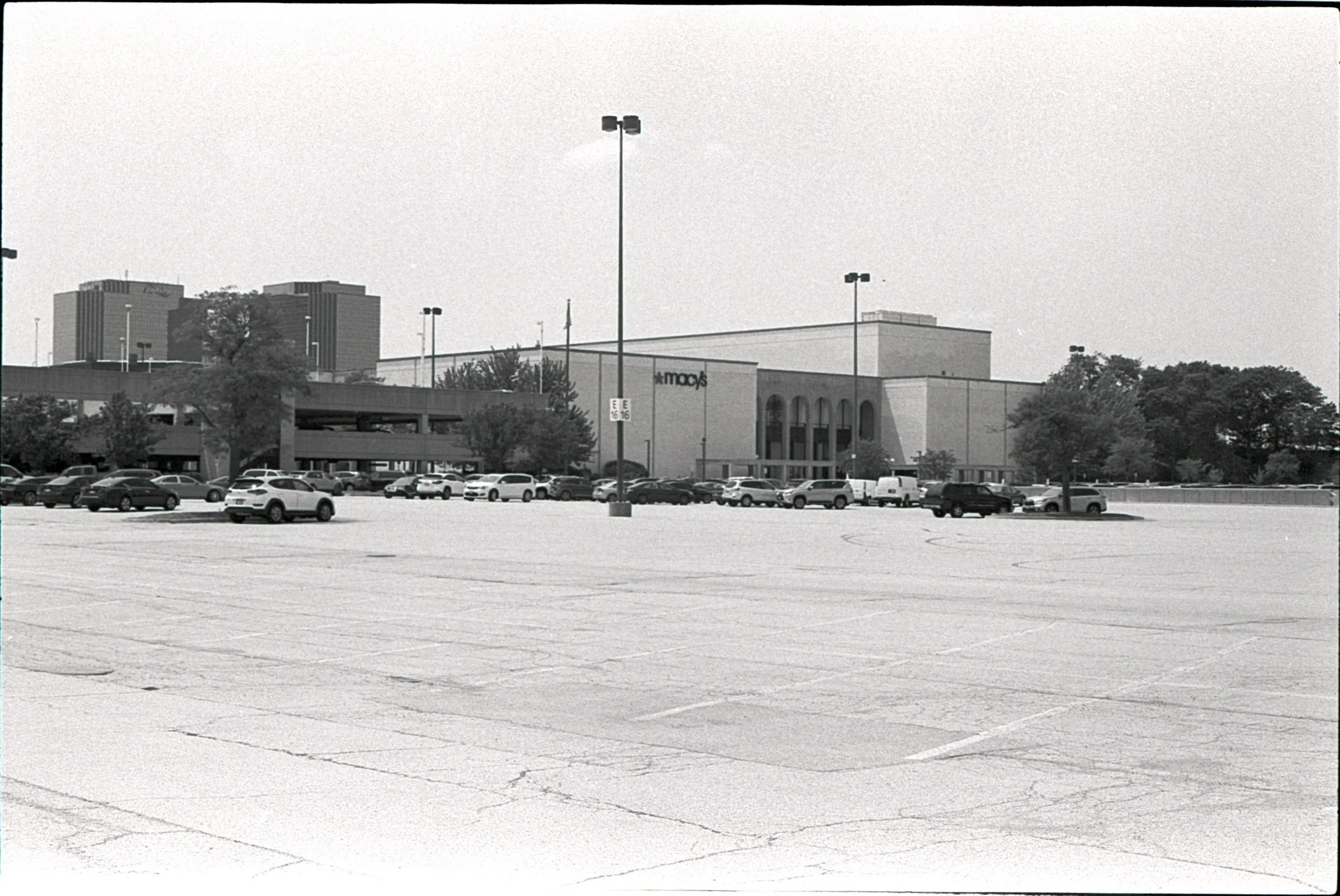 Film_scsn_11.jpg