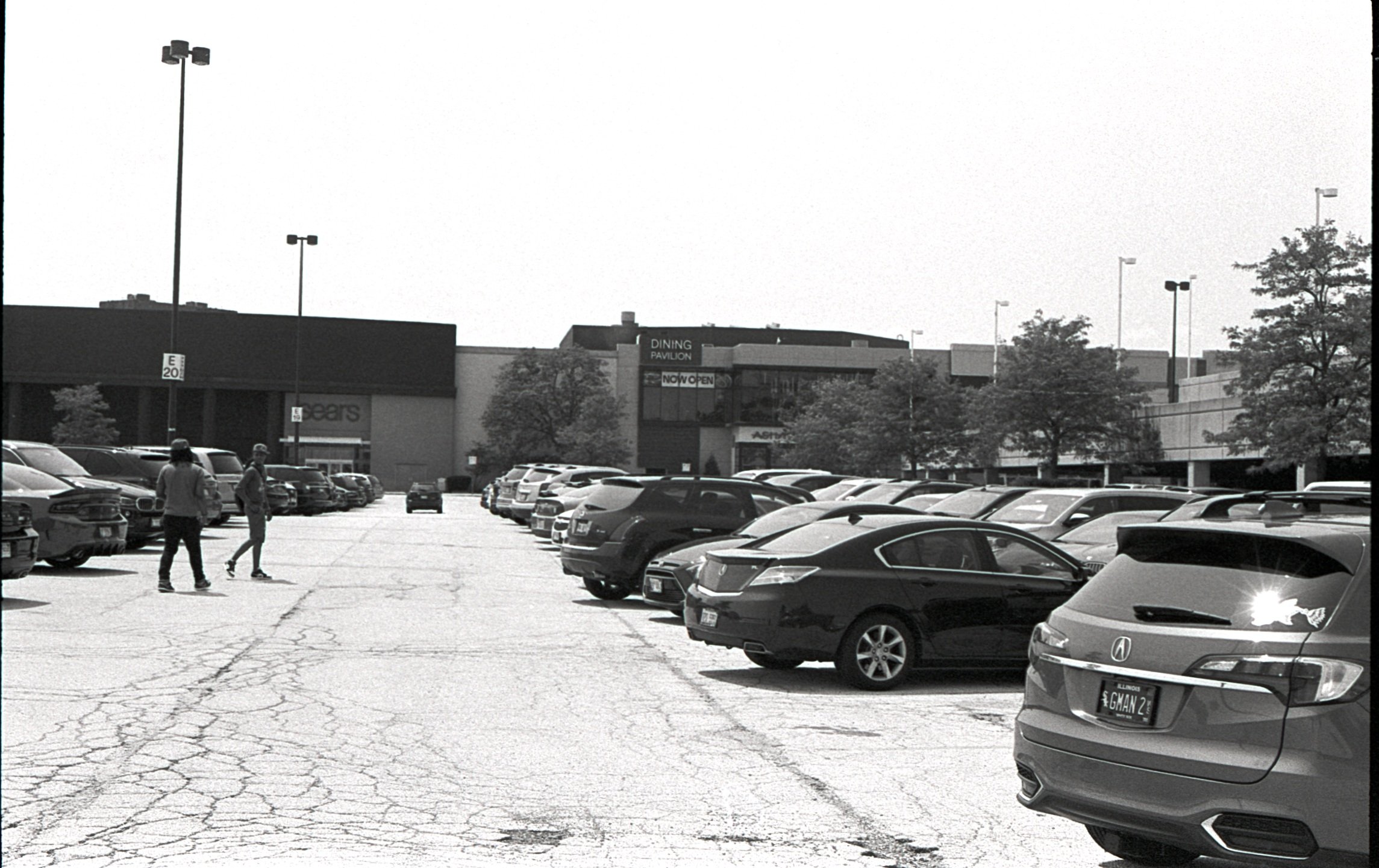 Film_scsn_10.jpg