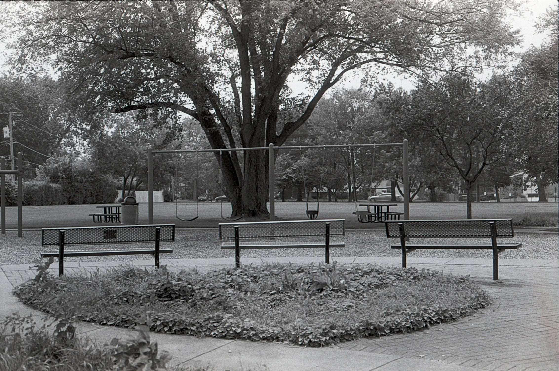Film_scsn_28.jpg