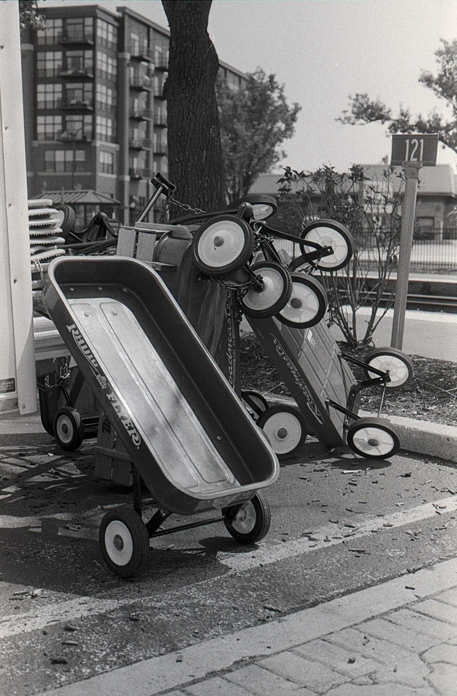 Film_scsn_27.jpg