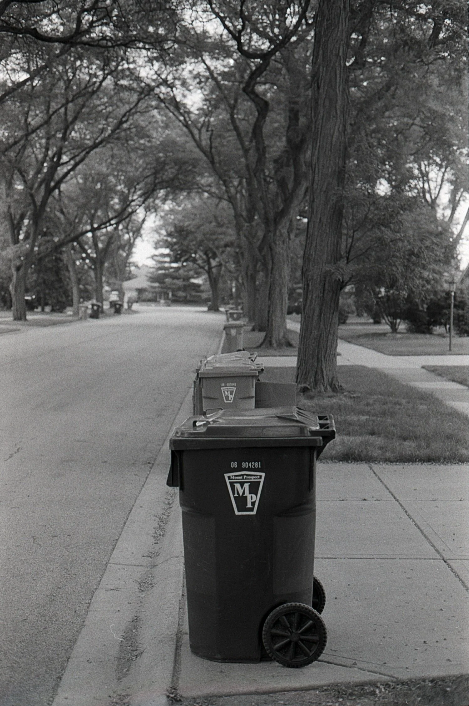 Film_scsn_25.jpg