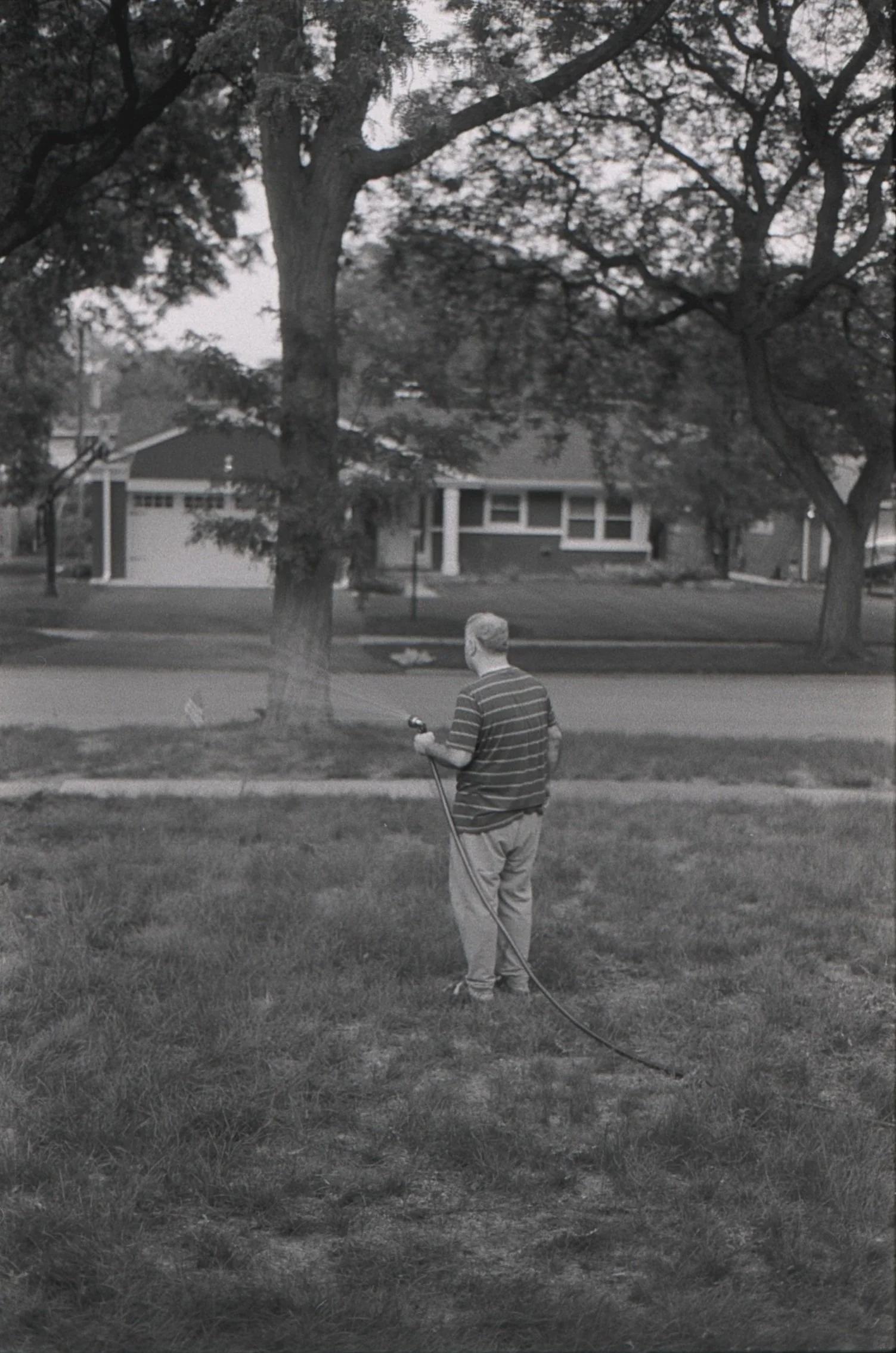 Film_scsn_24.jpg