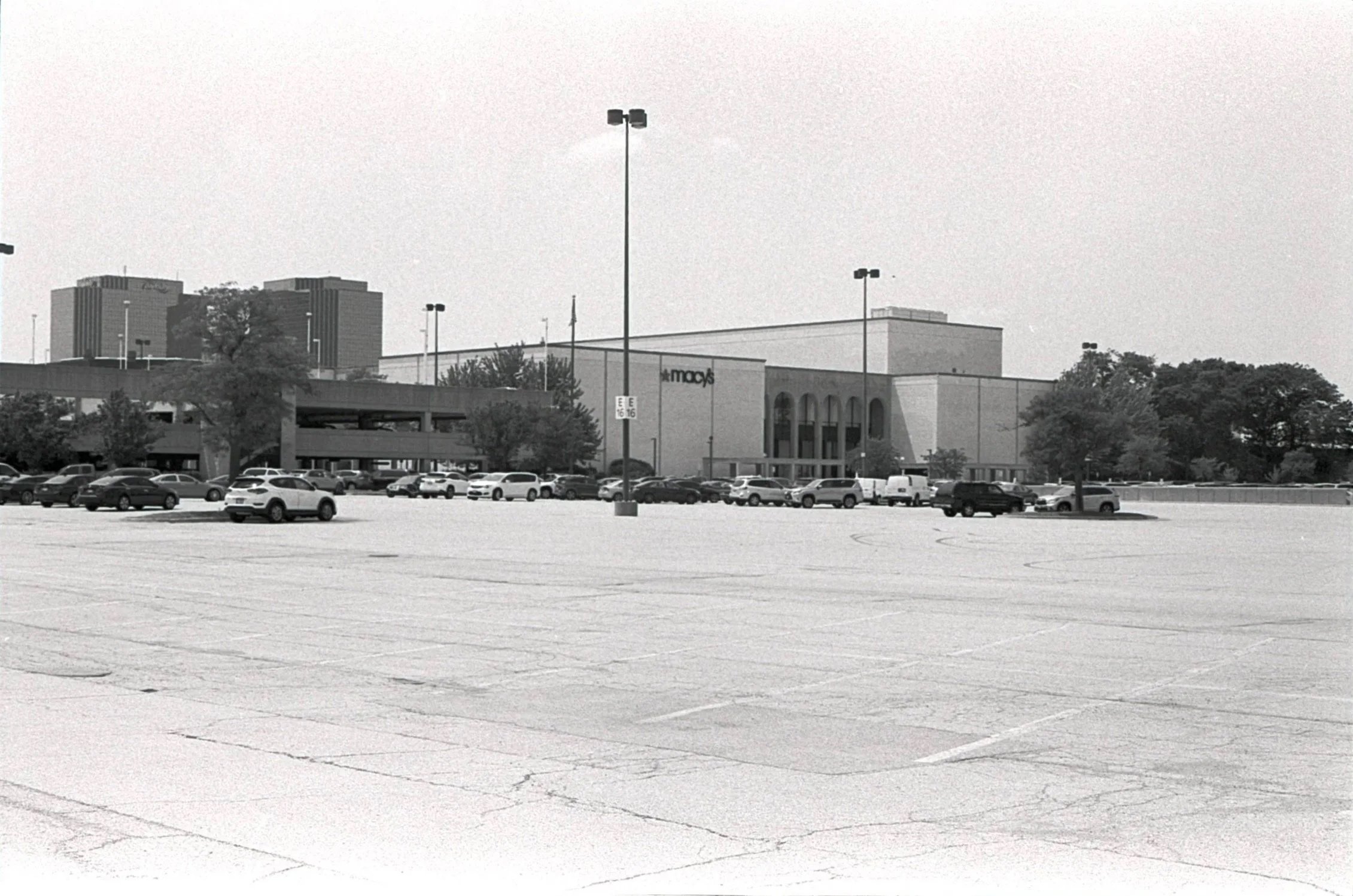 Film_scsn_11.jpg