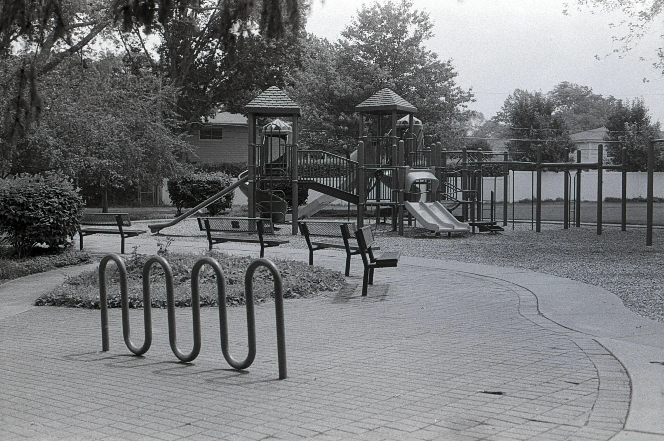 Film_scsn_26.jpg