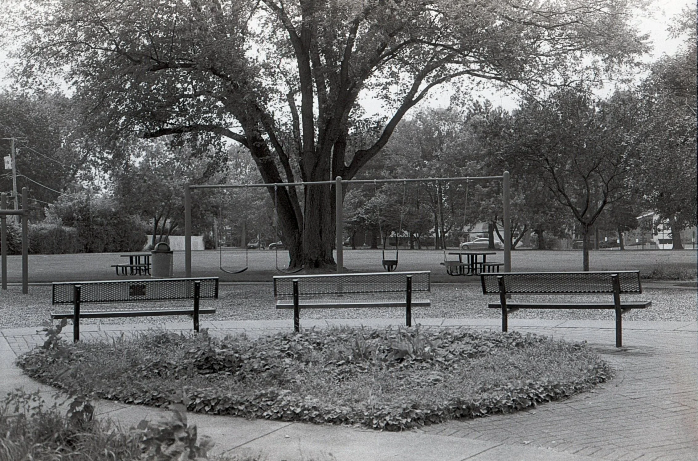 Film_scsn_28.jpg