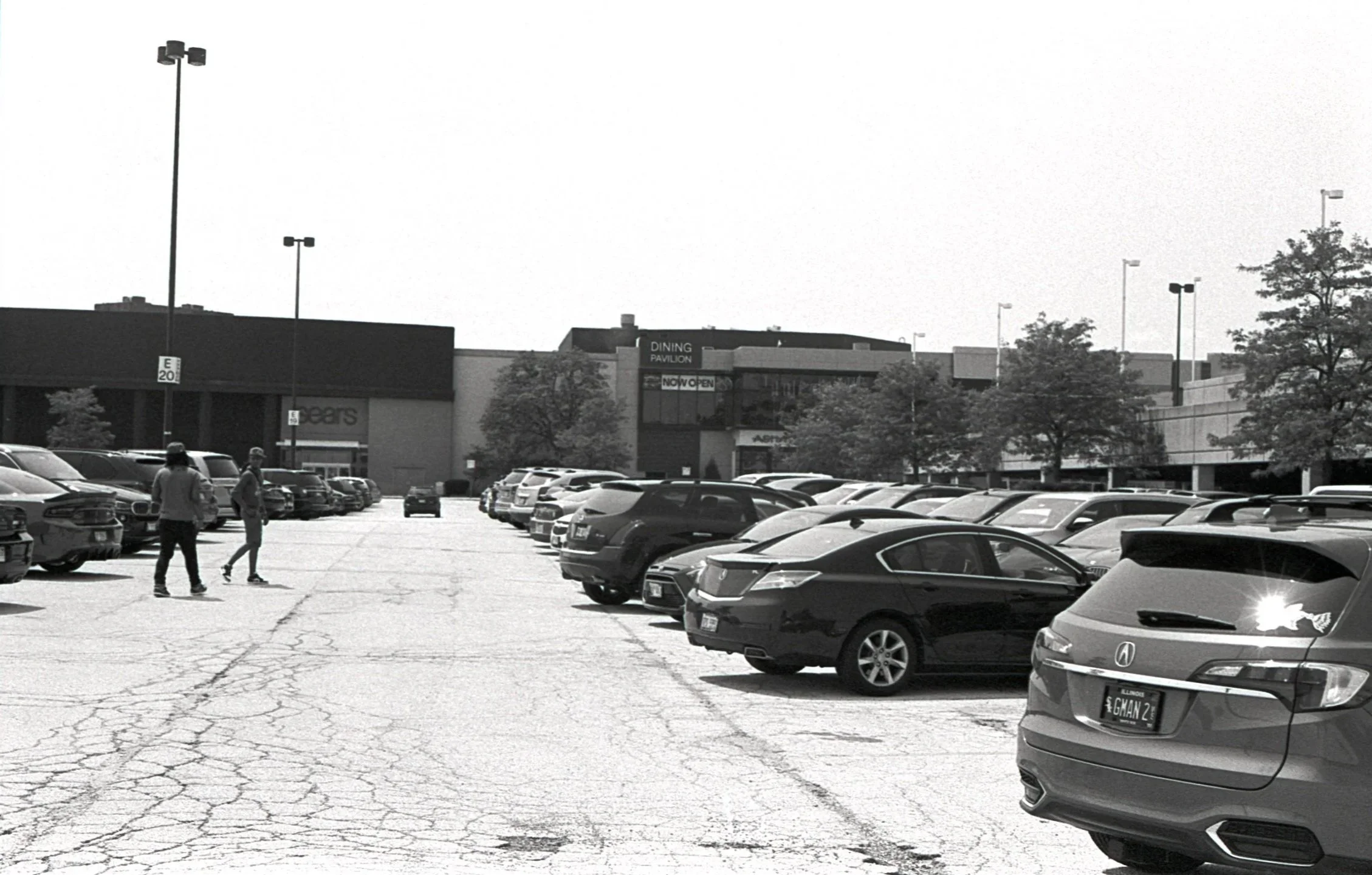Film_scsn_10.jpg