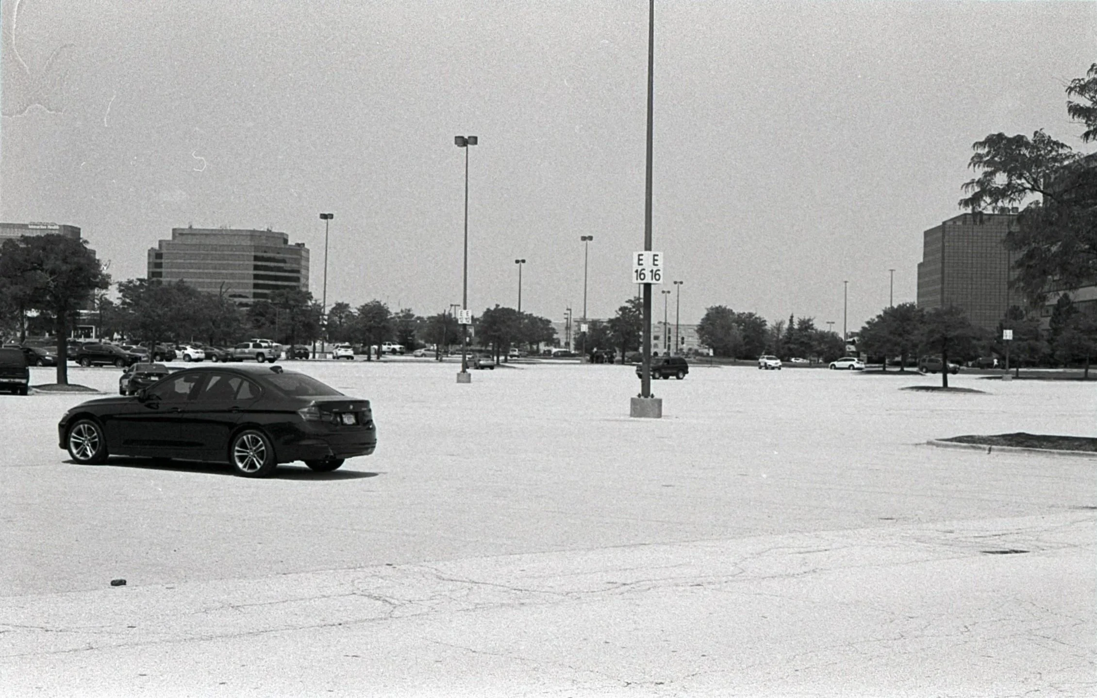 Film_scsn_08.jpg