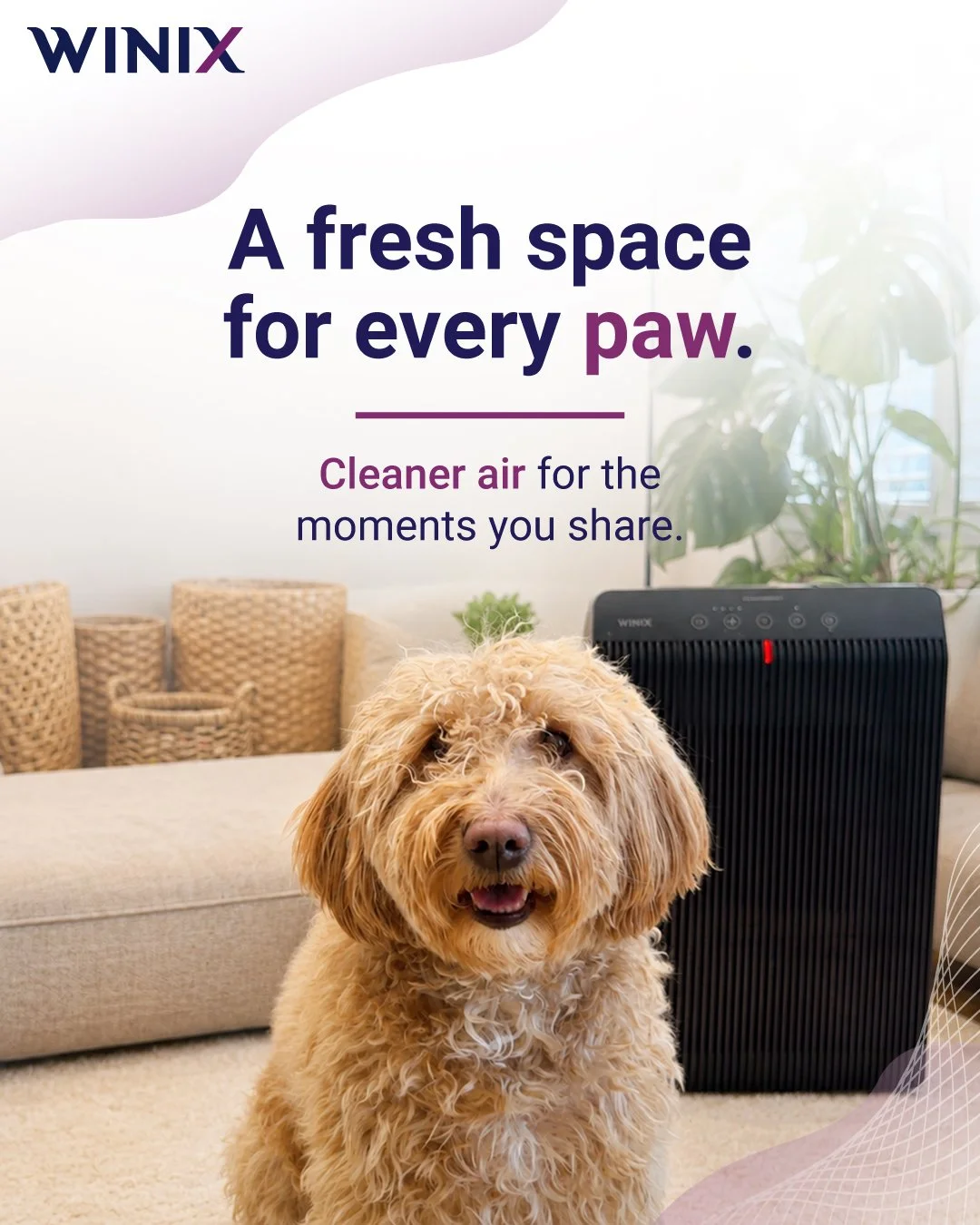 IG-FB-TW_PetParents_061926.jpg