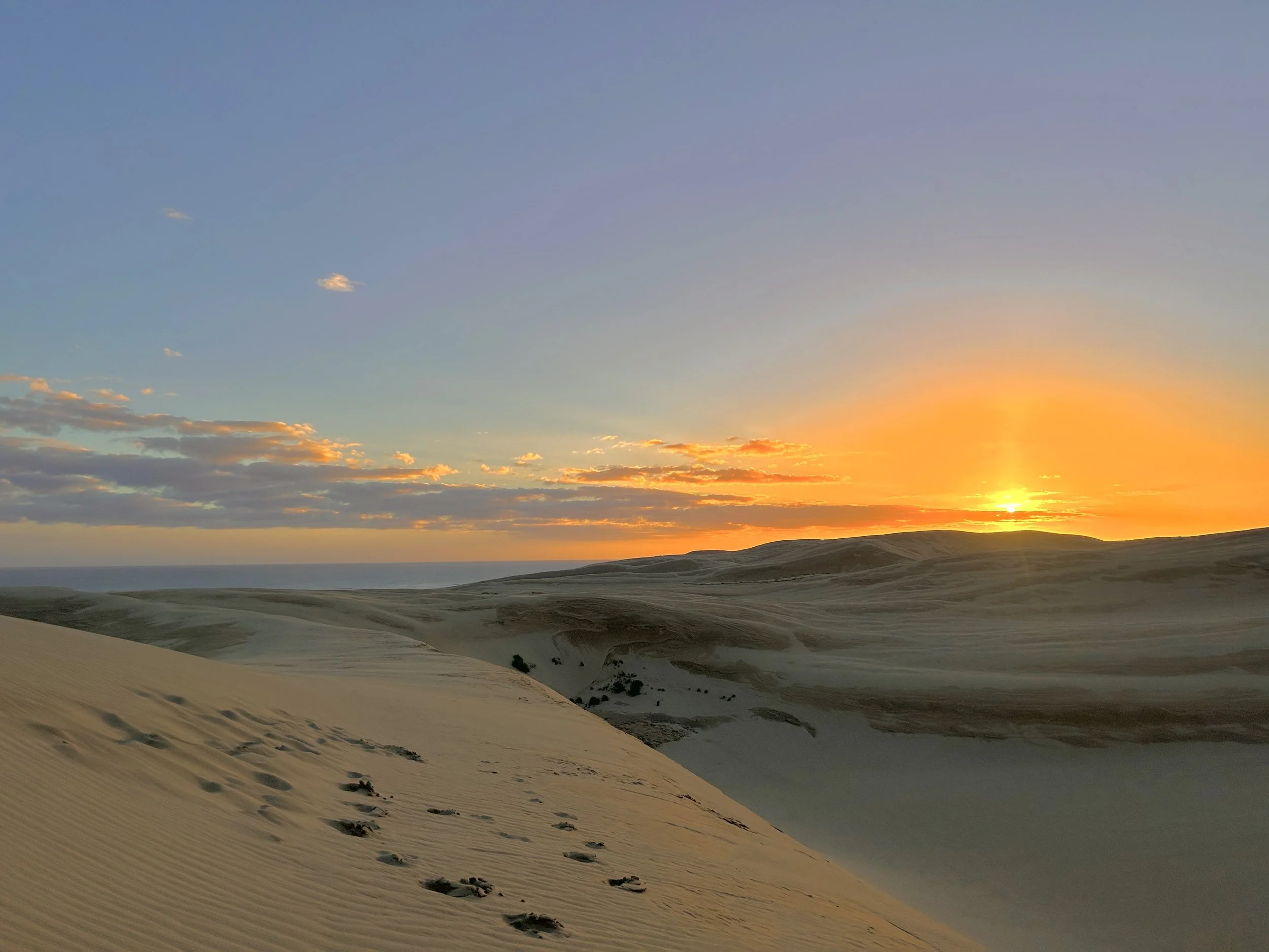 Sunset over sand dunes in a desert landscape, with a few small bushes and distant hills.