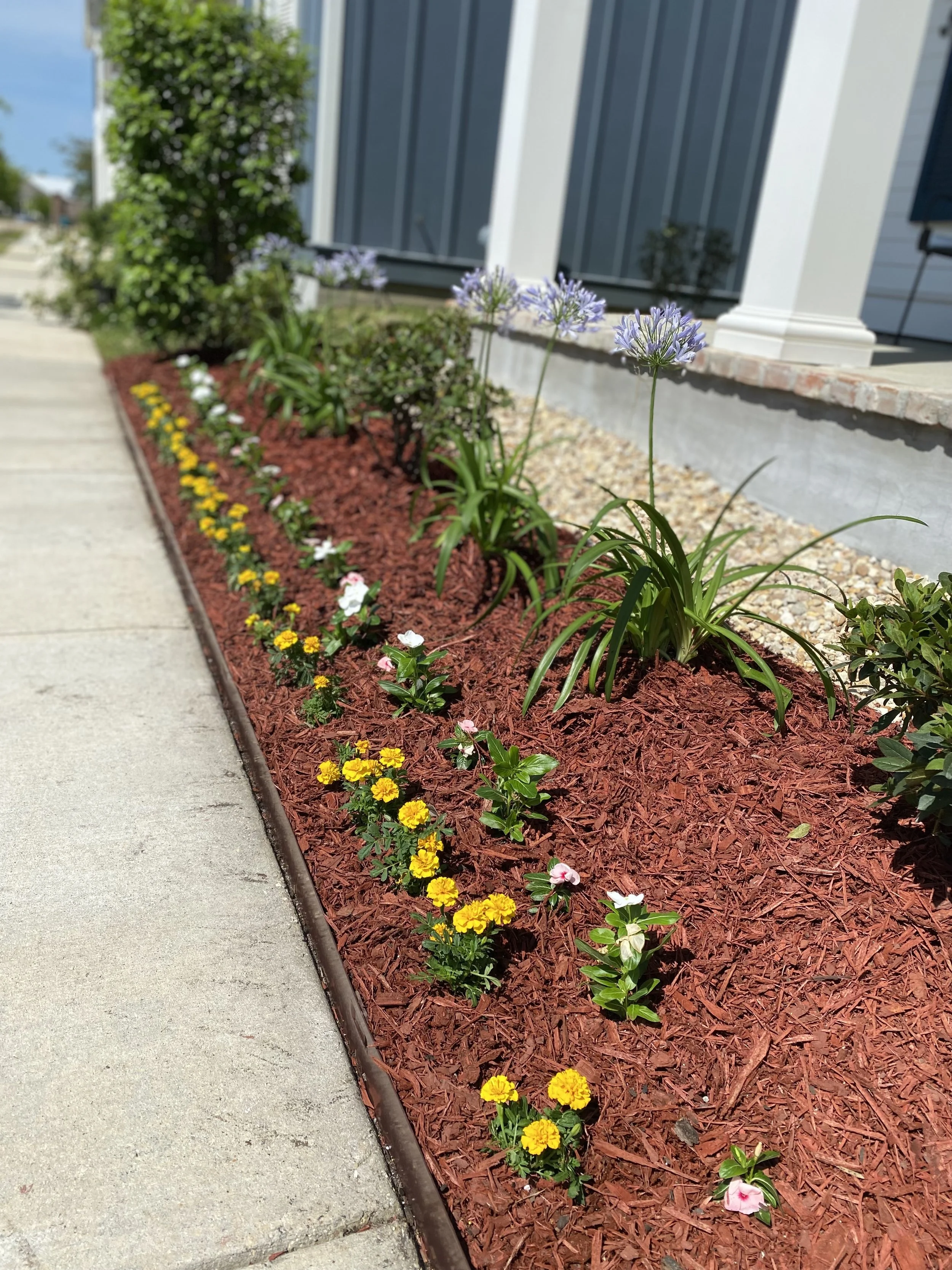 Fresh flowerbed with mulch and seasonal flowers after landscaping services.