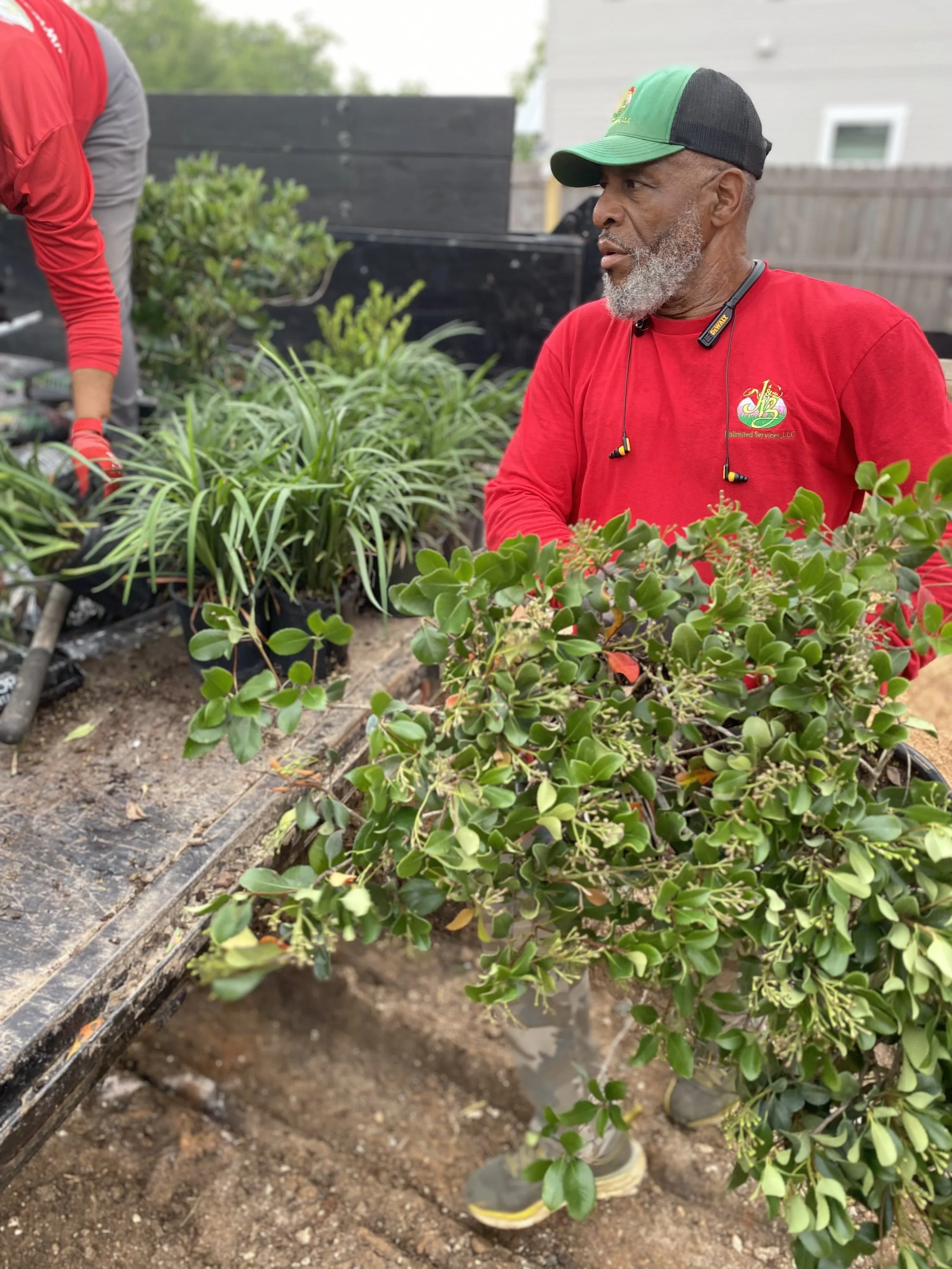 J&B team member carrying a shrub during a residential landscaping installation.