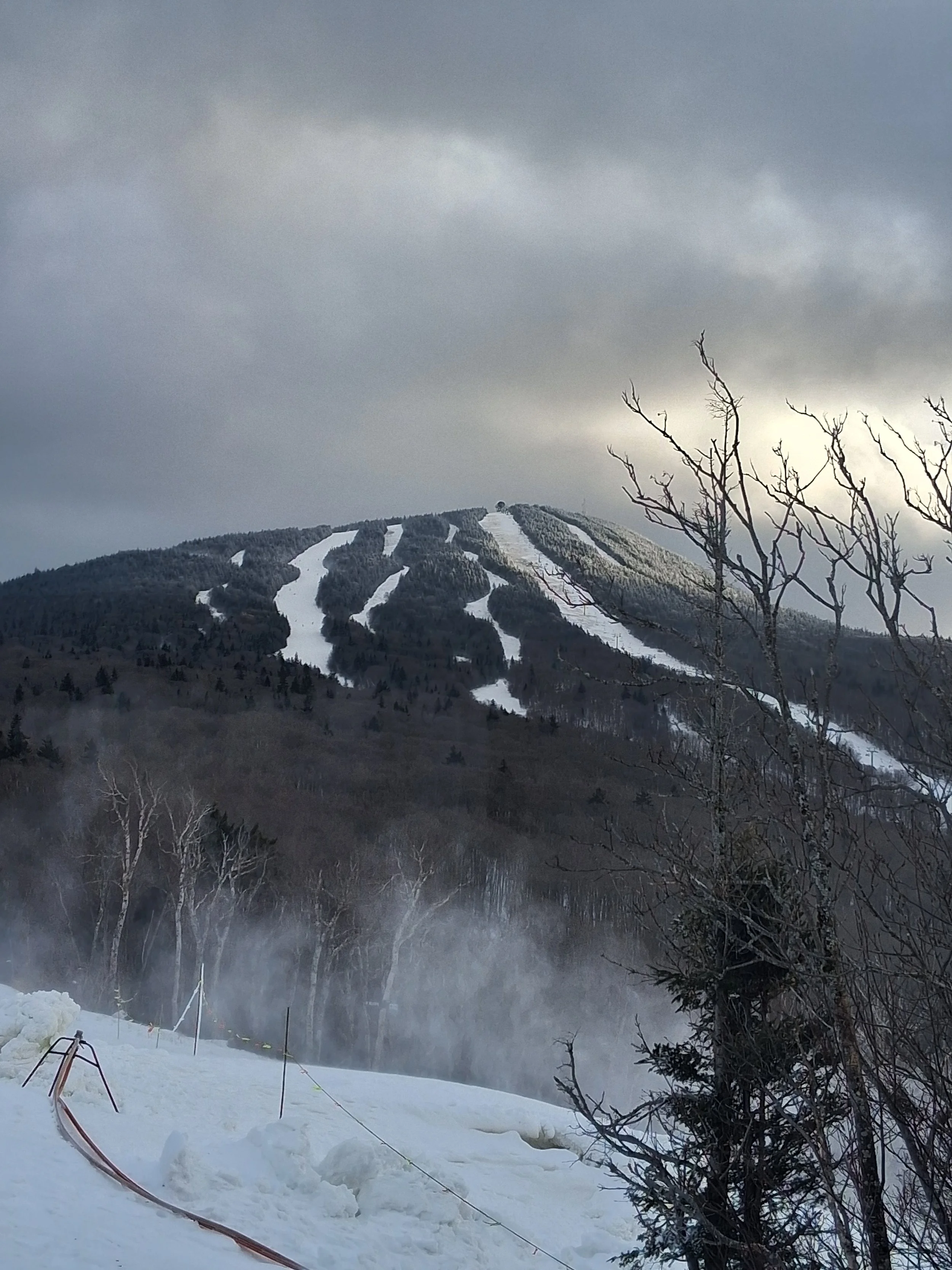 Snow-covered mountain with ski slopes and trees, overcast sky, some fog or steam near the ground.