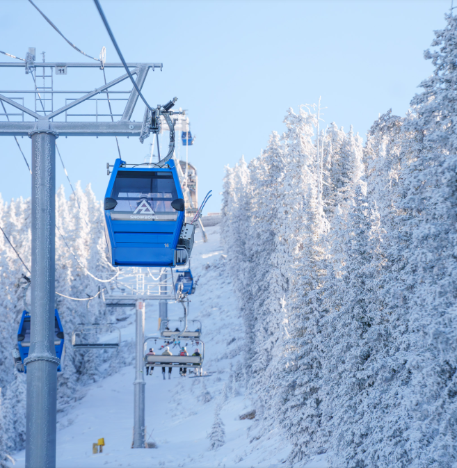 Ski lift chairs traveling through snowy trees on a clear winter day.