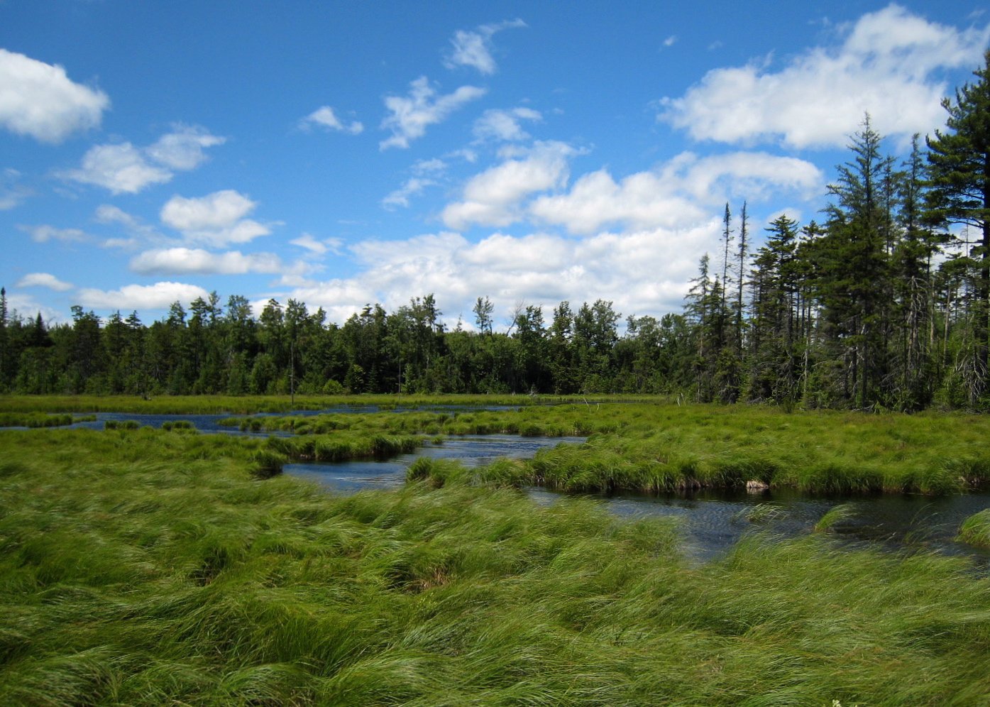 A lush green meadow in the Adirondacks with a winding stream, surrounded by trees under a partly cloudy blue sky.