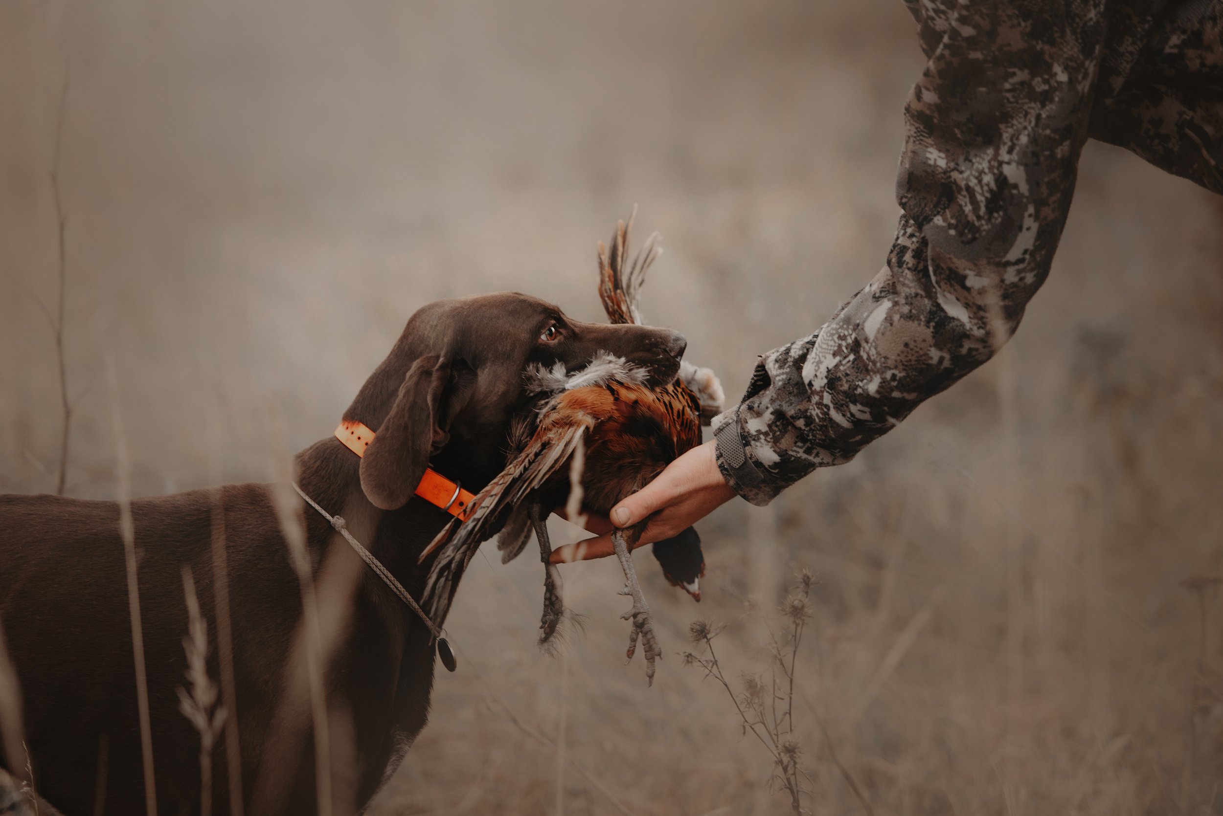 MEATEATER CUTTING THE DISTANCE EP 121