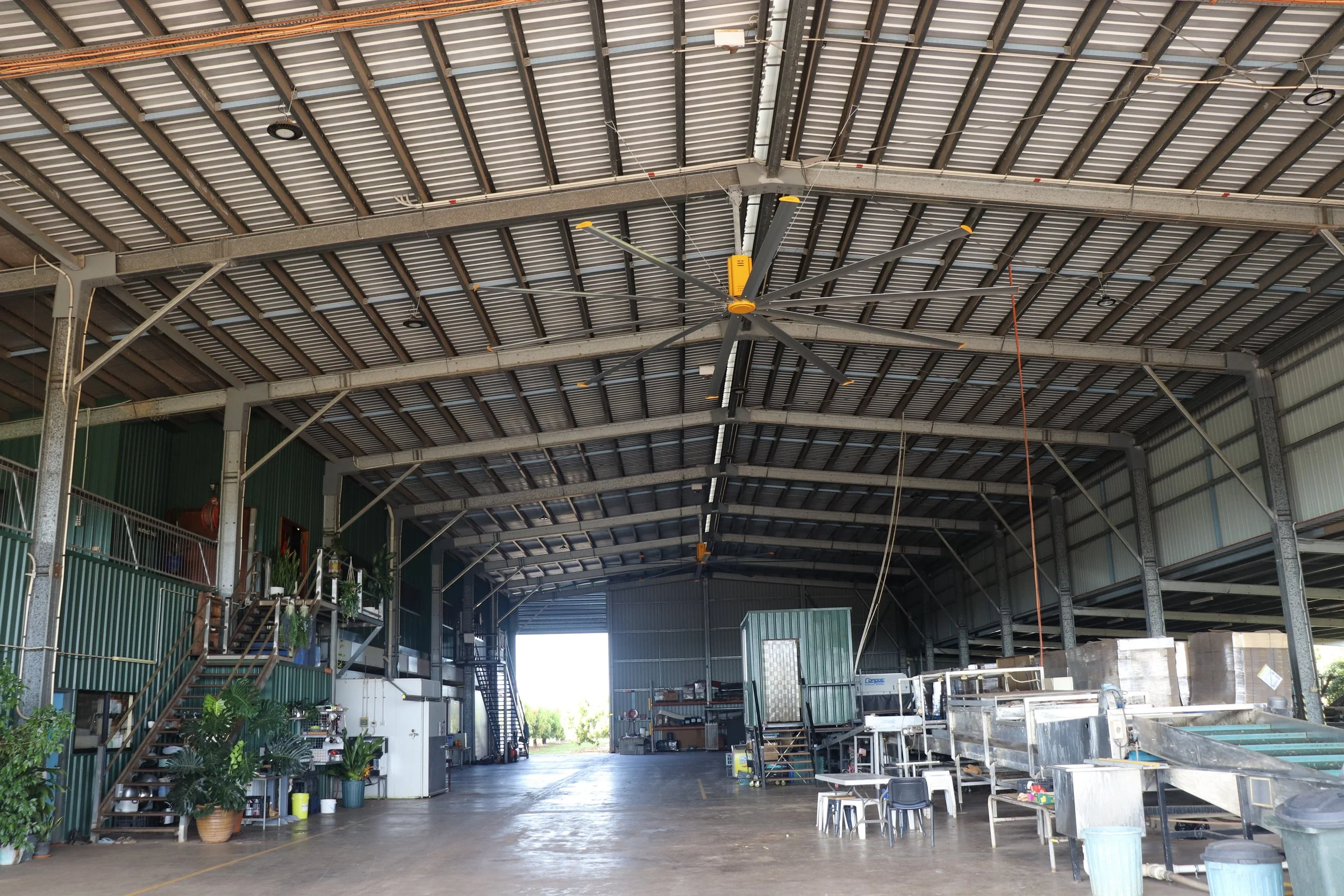 Interior of a warehouse or industrial building with a high metal roof, big yellow HVLS ceiling fan, various equipment, tables, plants, and storage shelves.