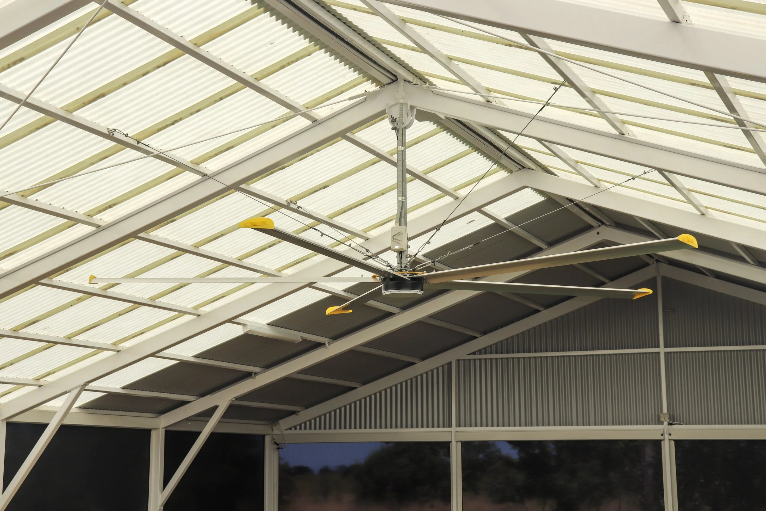 An enclosed Darwin outdoor area with a 3.6m big yellow ceiling fan, patio furniture, and a partial view of a swimming pool outside, under a white metal-framed roof.