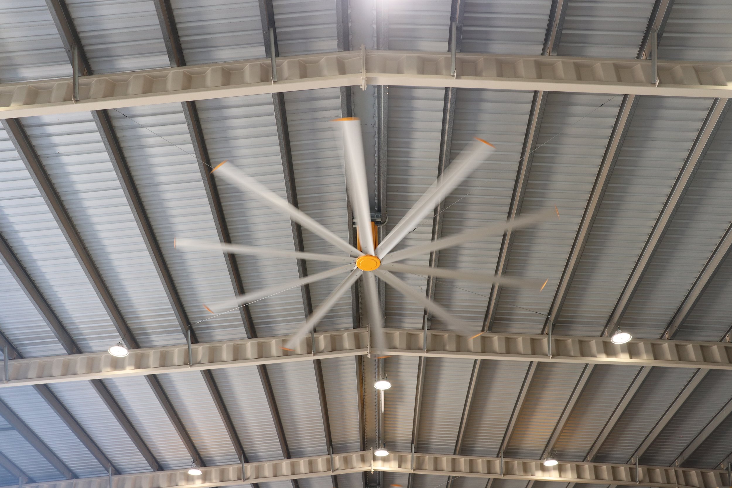 7.2m HVLS big yellow celling fan  inside a shed with a metal roof.