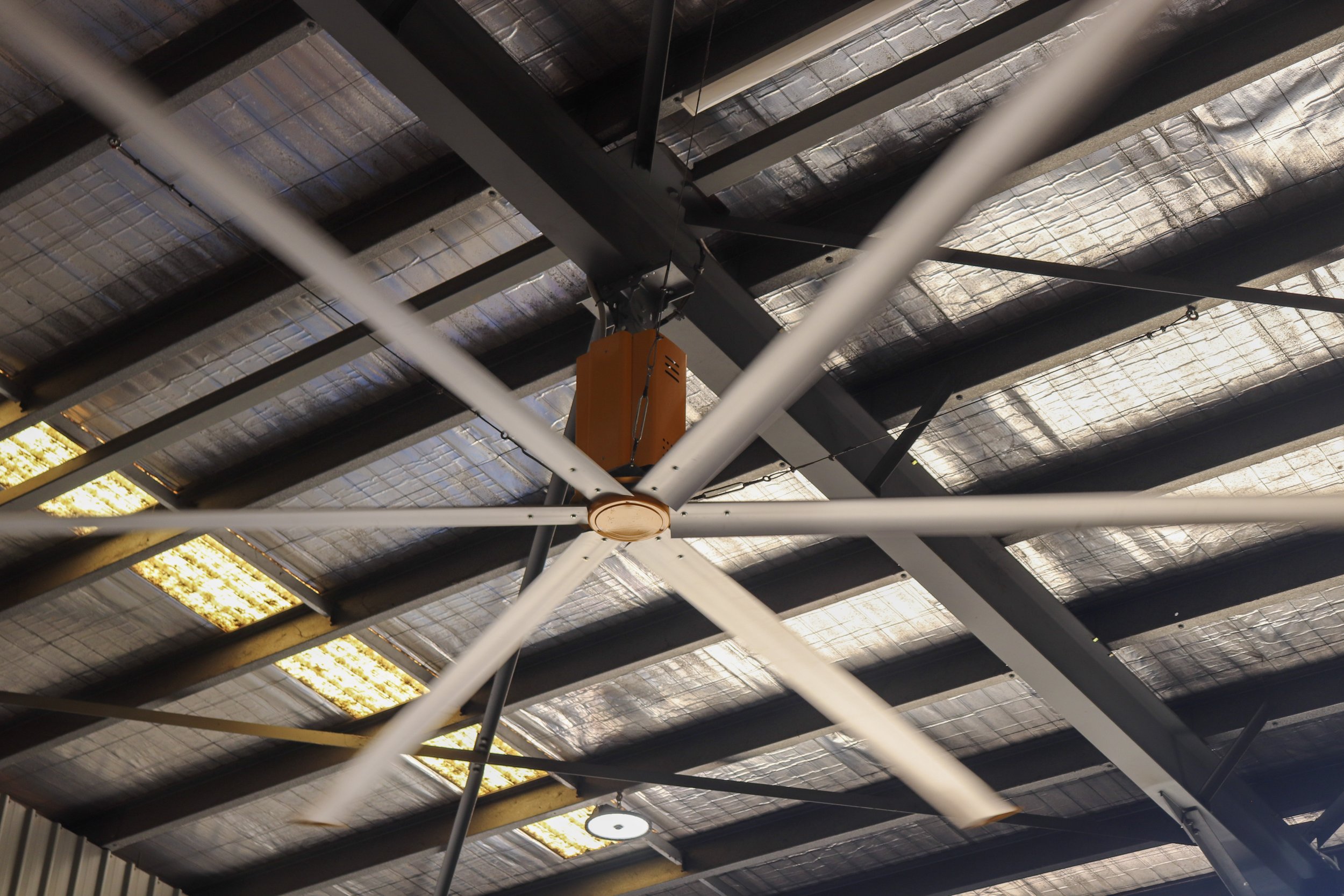 Looking up at a ceiling with metal beams, insulation, large big yellow HVLS fan Darwin Shed