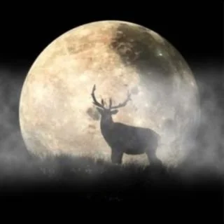 Elk Moon Creations