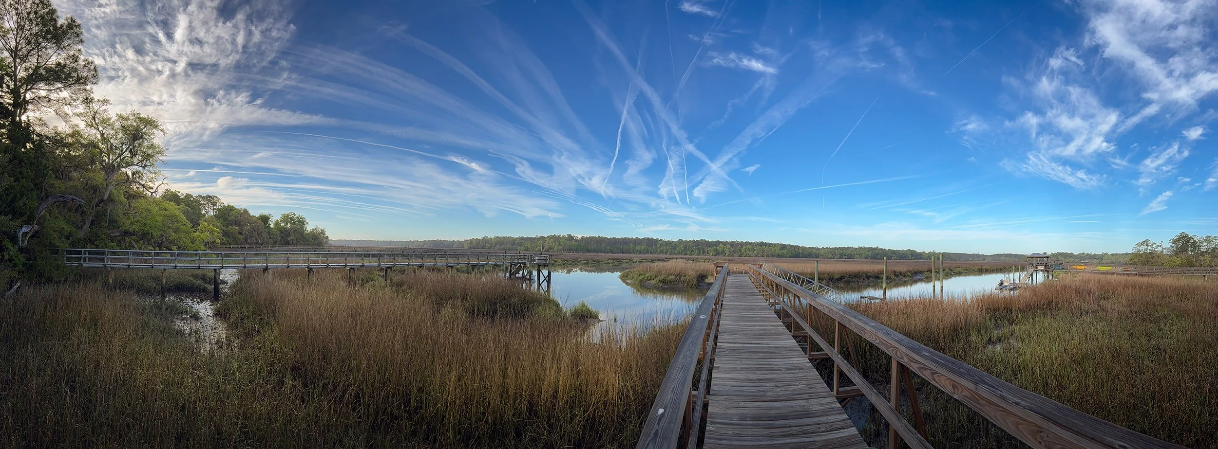 A panoramic view of a wooden boardwalk over marshland with grasses, water, trees in the distance, and a blue sky with clouds and contrails.