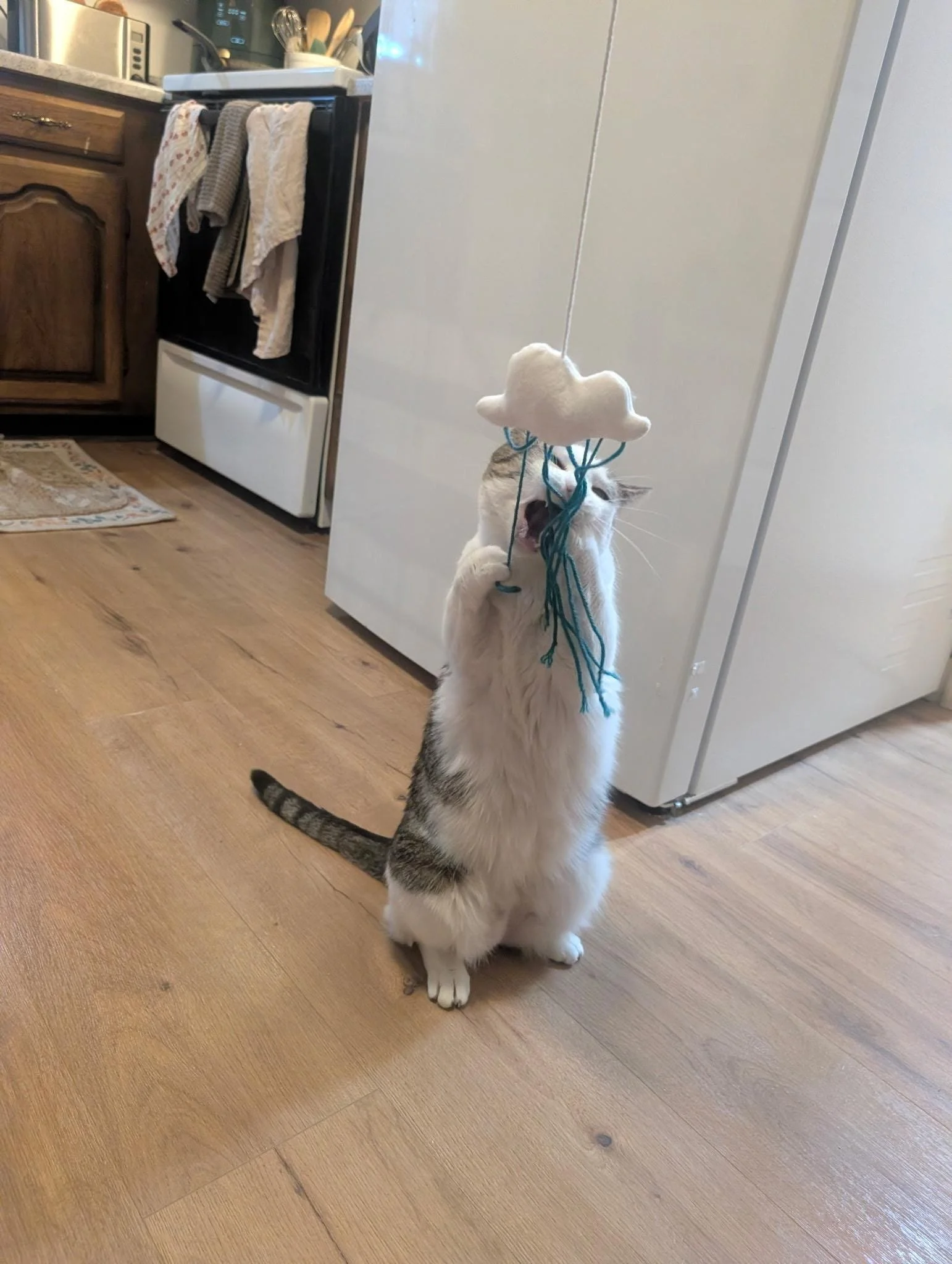 Rain Cloud | Cat Wand Toy with Organic Catnip