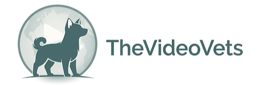 TheVideoVets