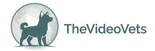 TheVideoVets