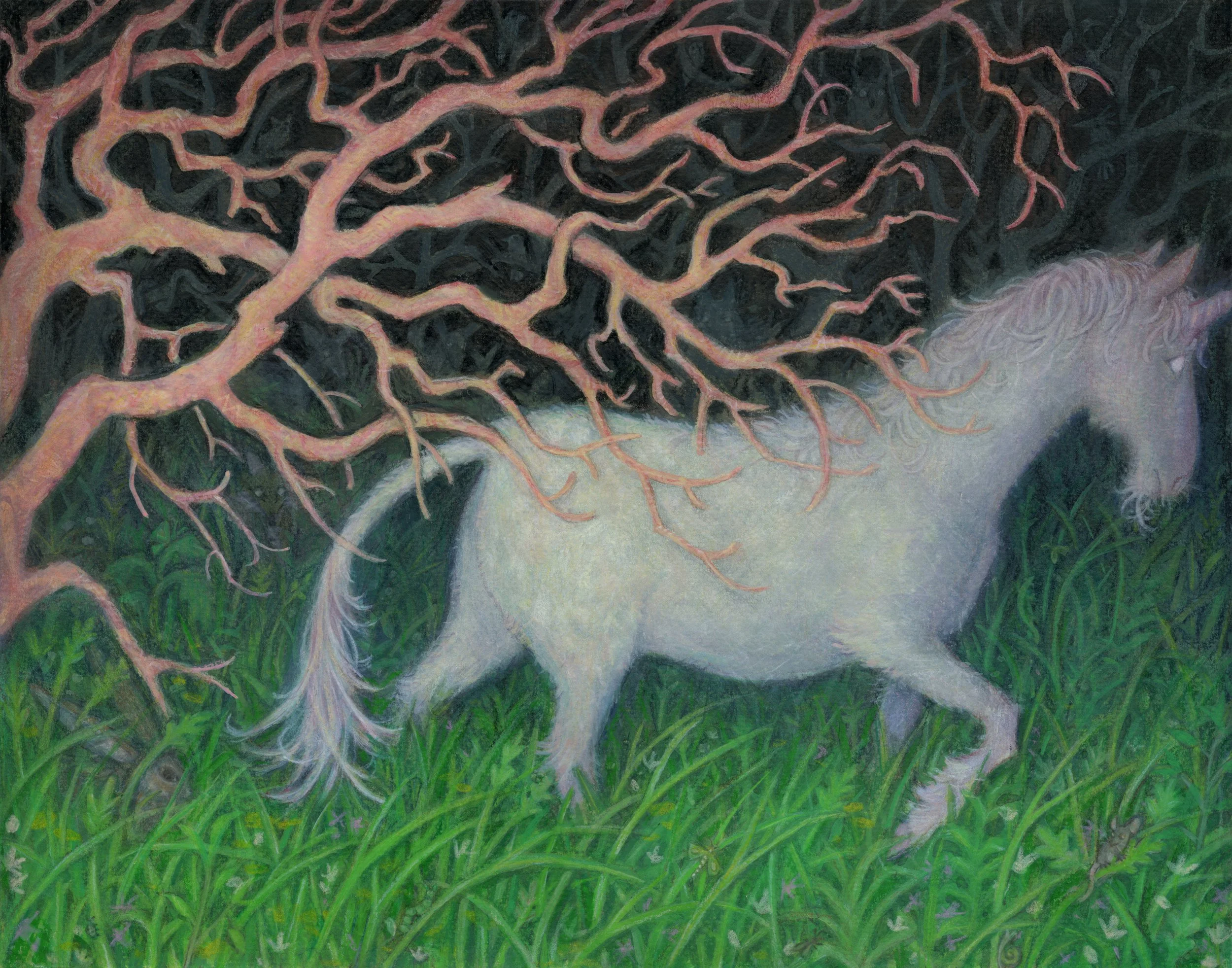 unicorn.jpg