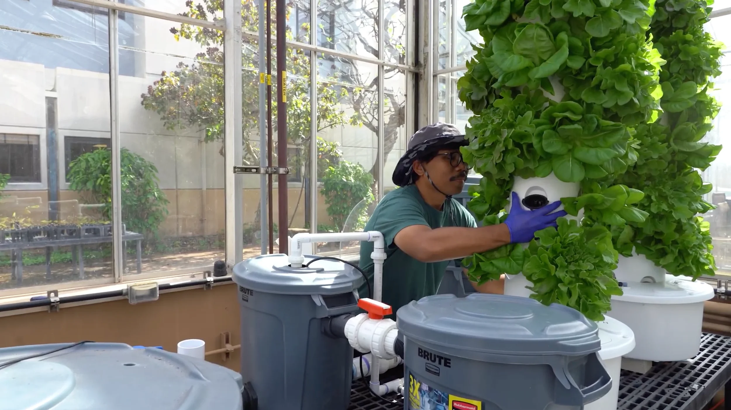 Growing a More Resilient Hawaiʻi with UH Mānoa CTAHR