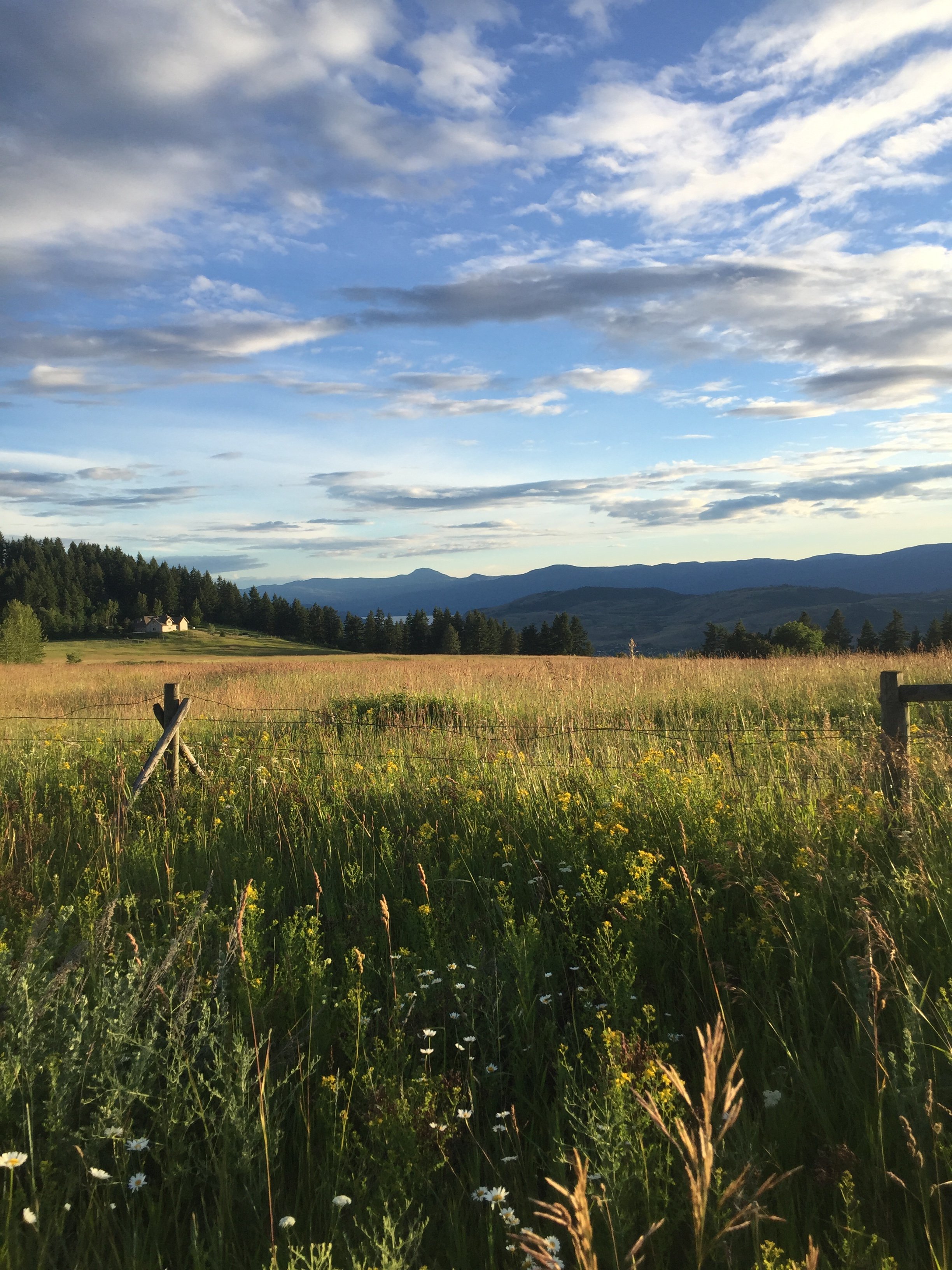 A scenic landscape of a grassy meadow with wildflowers, a barbed wire fence, trees, rolling hills, and mountains under a blue sky with scattered clouds.
