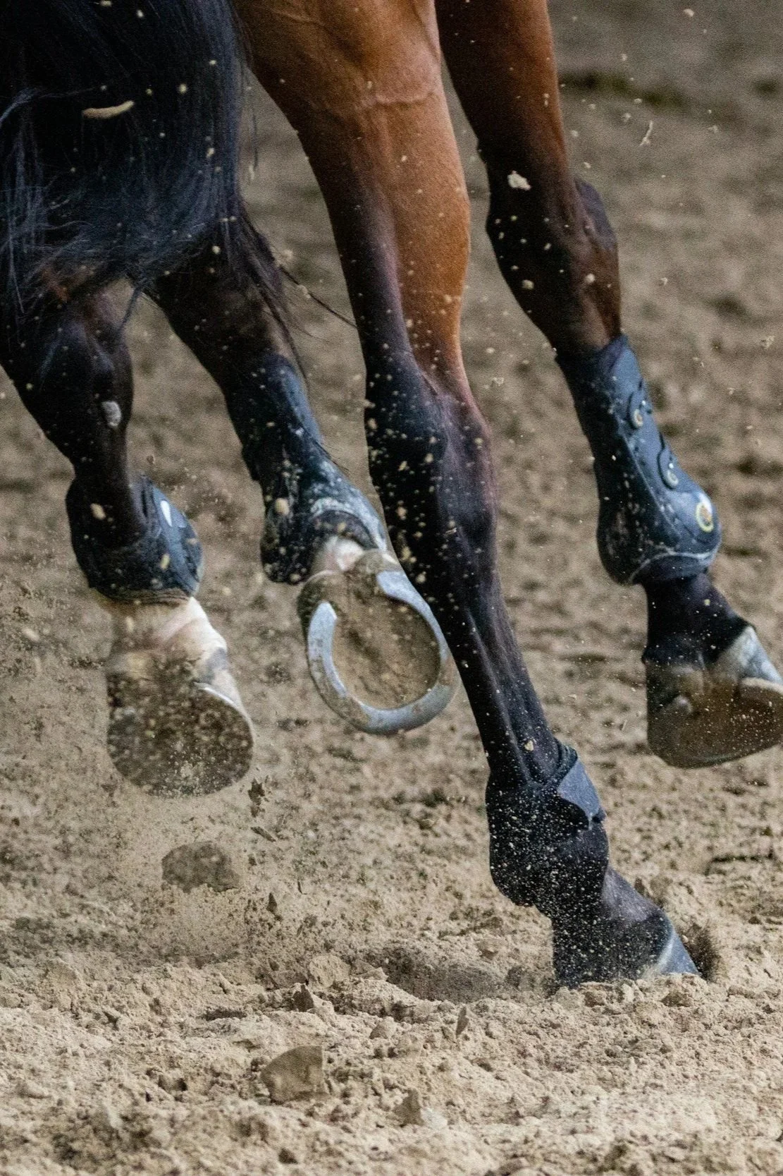 Close-up of a horse's legs in black protective boots, with sand flying as it runs on a dirt track.