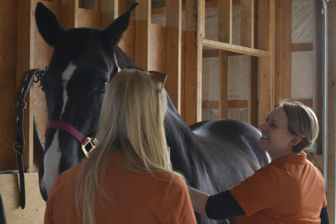 Two women, wearing orange shirts, are bonding with a black and white horse in a wooden stable. One woman is touching the horse's neck, and the other woman is smiling.
