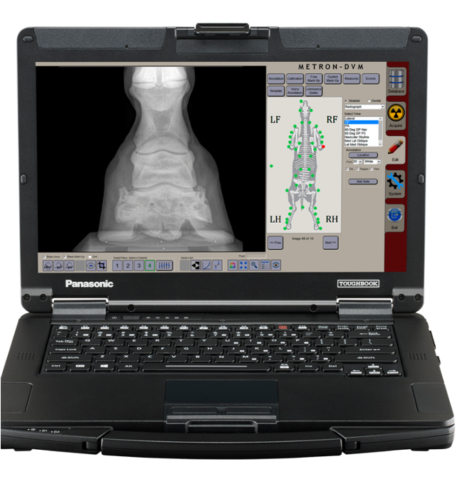 A Panasonic Toughbook laptop displaying a veterinary X-ray of a horse's skeletal system and a digital analysis interface.