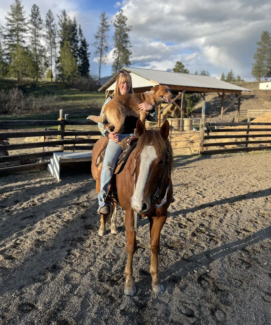 A woman riding a brown horse with a white face in an outdoor riding area, holding a small brown dog on her lap. The background shows trees, fencing, and a building under a partly cloudy sky.