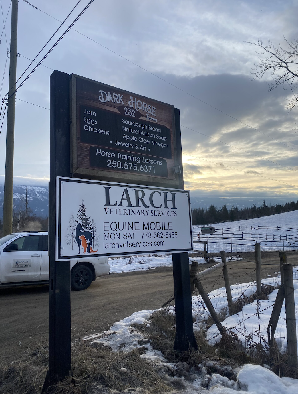 Sign for Dark Horse Farm advertising farm products such as jam, eggs, chickens, sourdough bread, soap, vinegar, jewelry, and art, with horse training lessons. Below, a sign for Larch Veterinary Services and Equine Mobile offers veterinary services and horse care. The background shows a rural landscape with snow and mountains at sunset.
