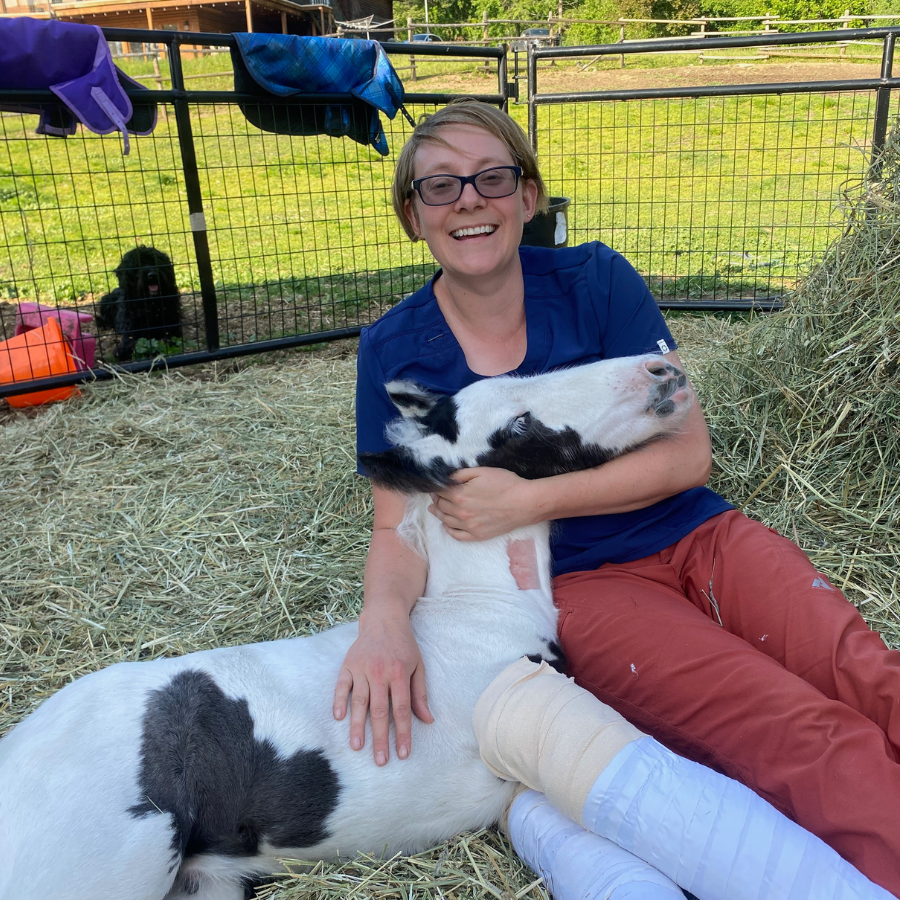 A woman with glasses and a blue shirt sitting on straw, hugging a foal.