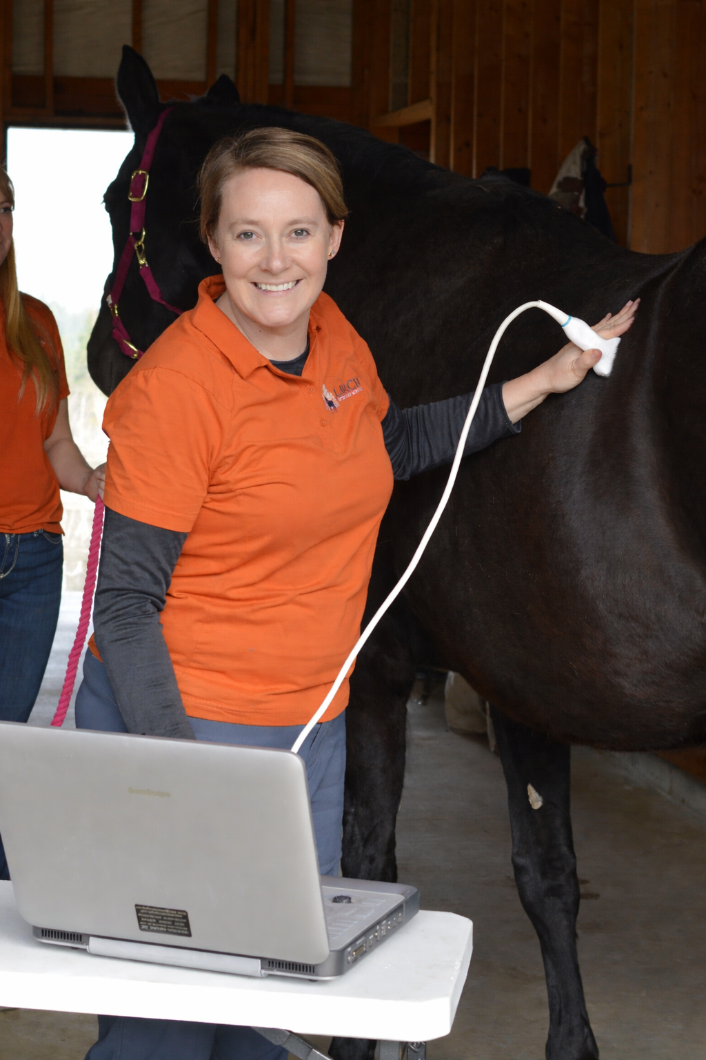 A woman in an orange shirt performs an ultrasound on a black horse inside a barn, with a laptop on a white table nearby.