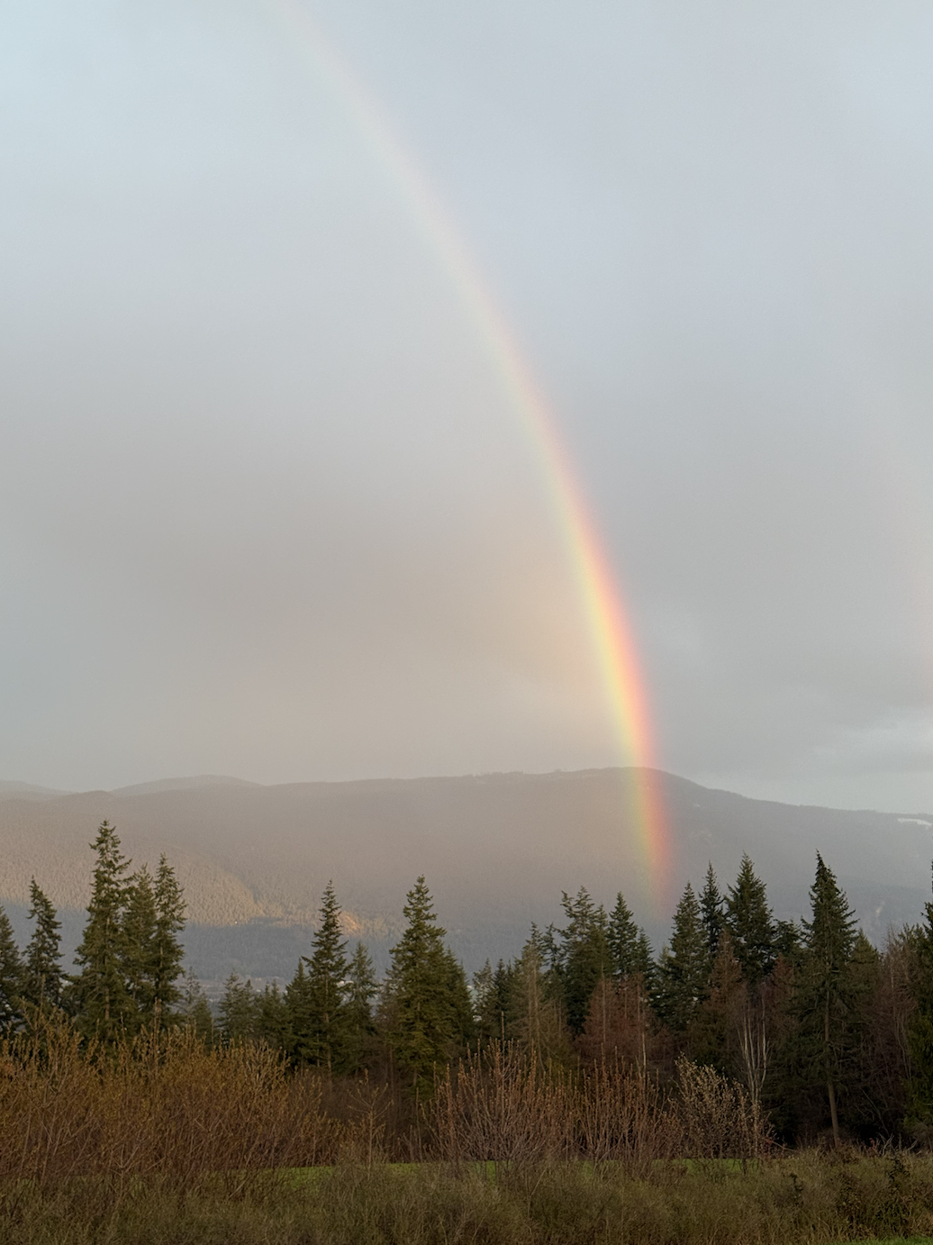 A vibrant rainbow arches across a cloudy sky over a forested landscape with mountains in the background.