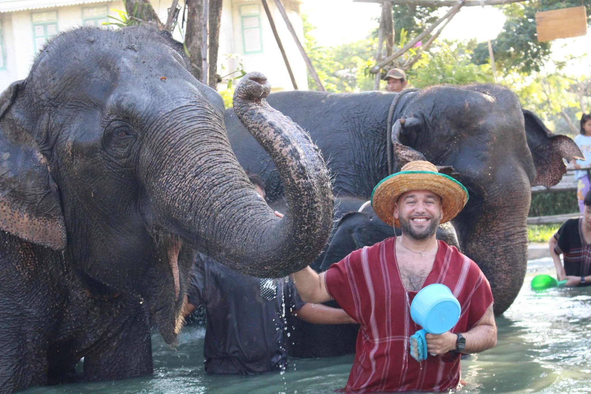 Elephant Park Thailand