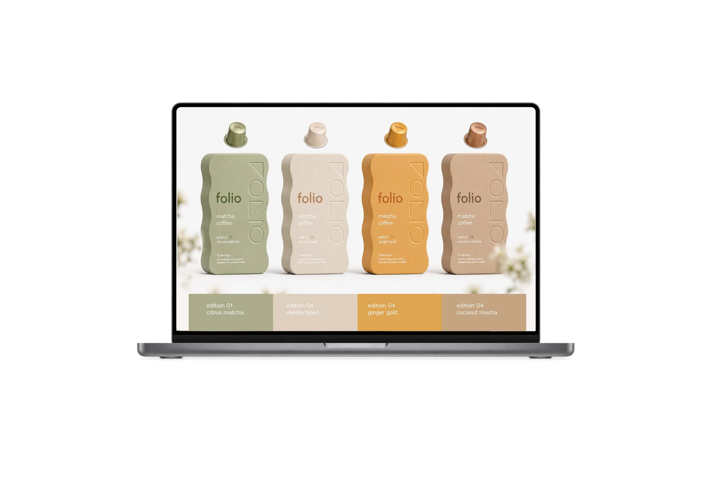 laptop folio.jpg