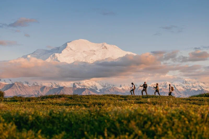A family of four hiking a scenic ridgeline in Denali National Park with the Alaska Range in the background; a signature land-and-sea discovery curated by Willow & Wander Travel.