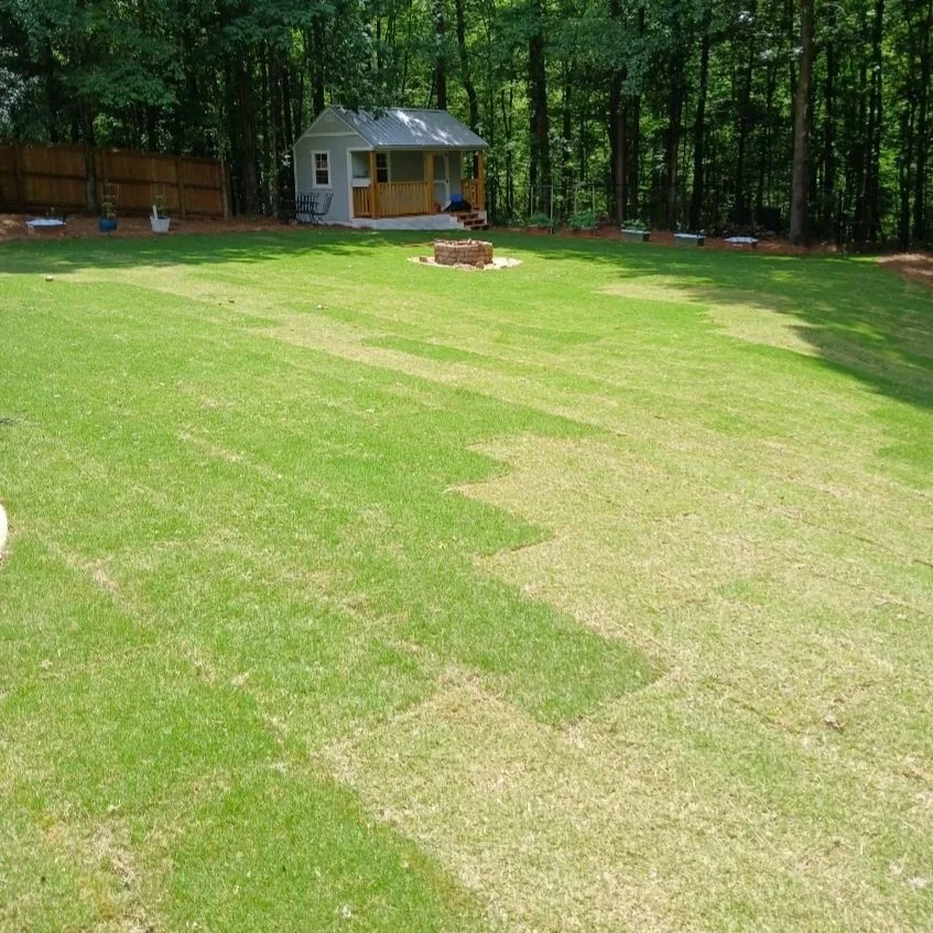 high quality sod installation phenix city al