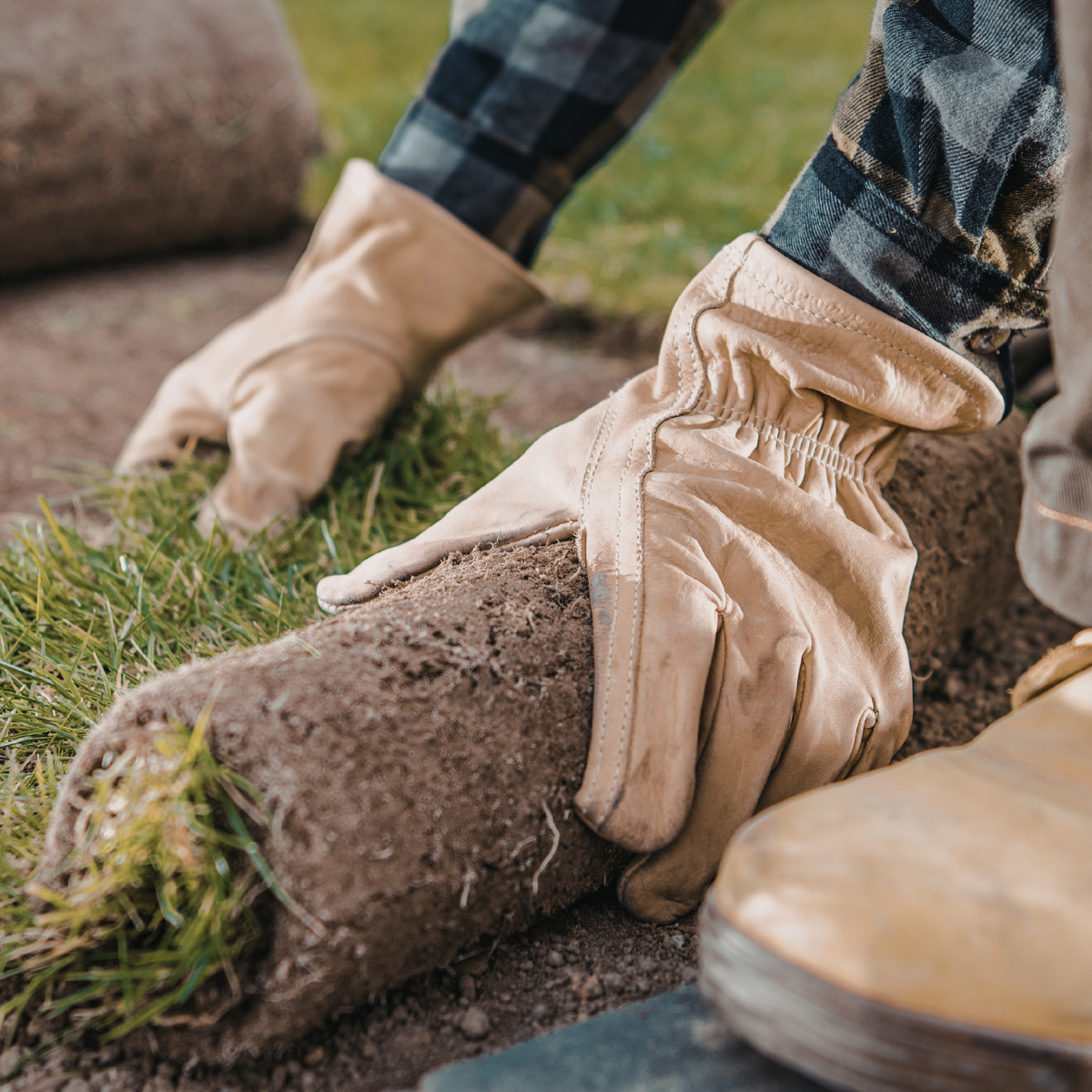 Landscaping