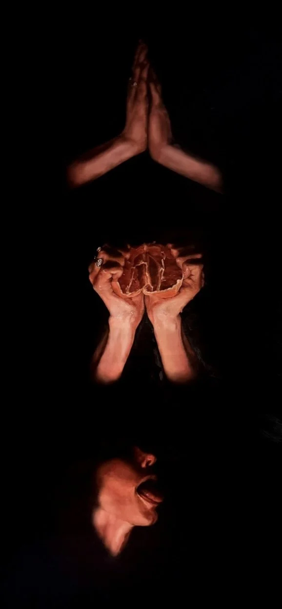 Lust | Oil on canvas | 24 x 48 in. | 2024