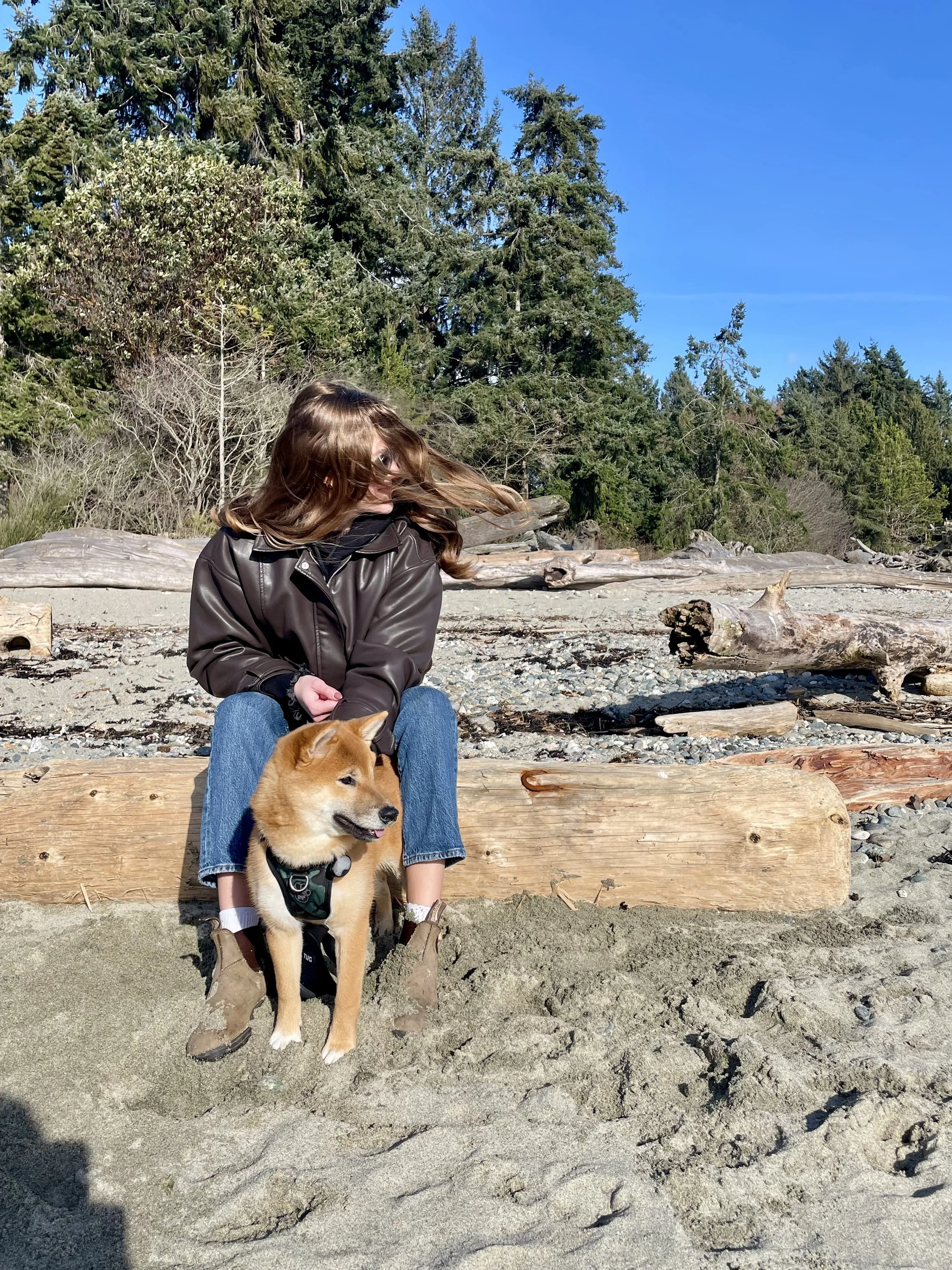 A woman with wavy brown hair wearing a black leather jacket and blue jeans sitting on a large wooden log on a sandy beach with a small tan dog. The beach has driftwood and rocks, and there are tall evergreen trees and a bright blue sky in the background.