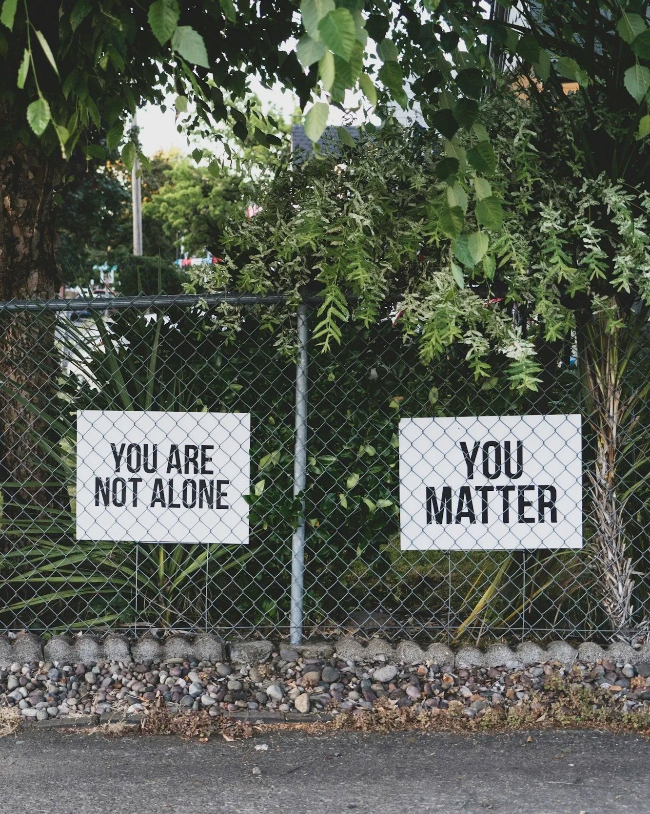 Two signs on a chain-link fence surrounded by green foliage. The left sign reads 'You are not alone,' and the right sign reads 'You matter.'